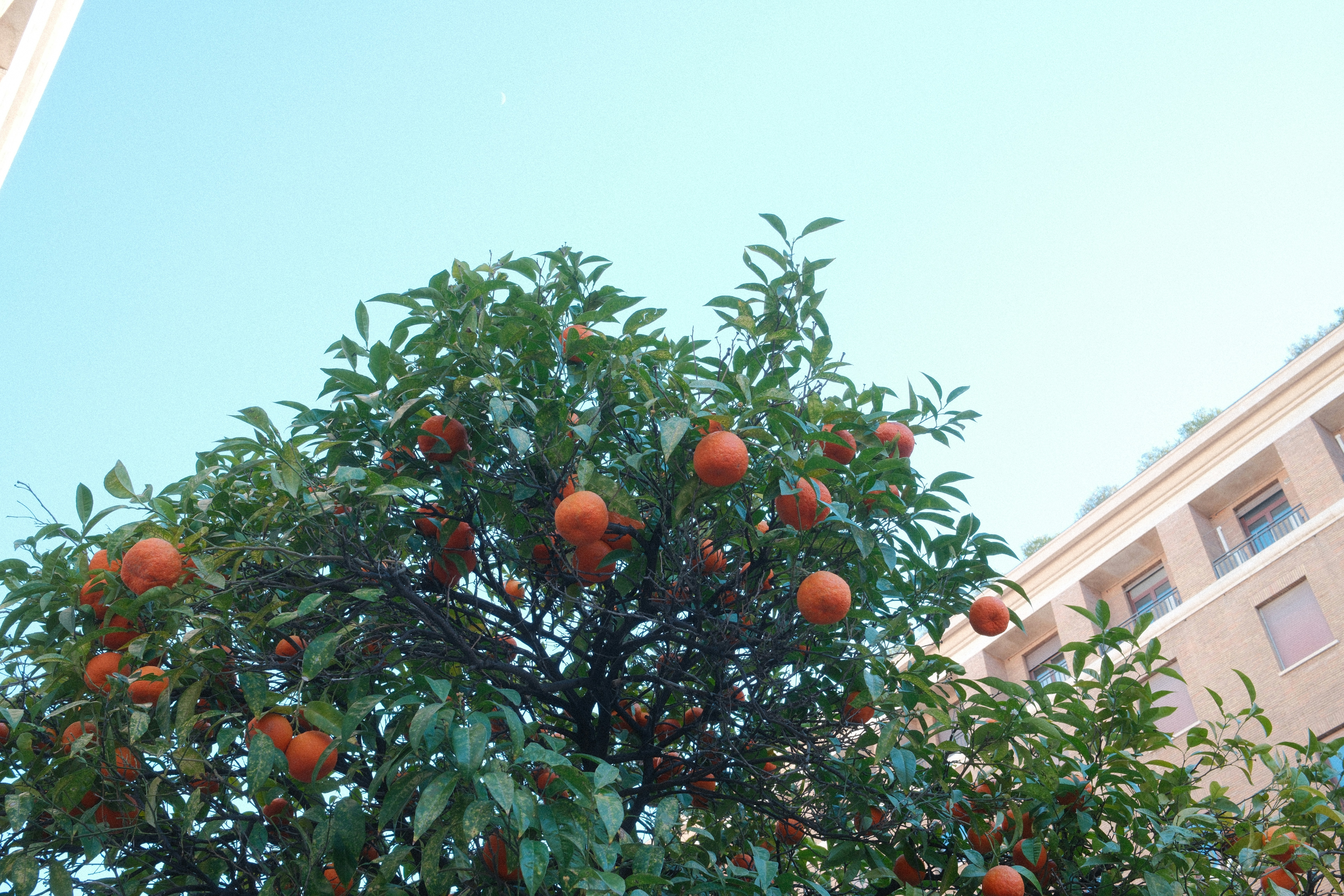 The colosseum is seen down a narrow street