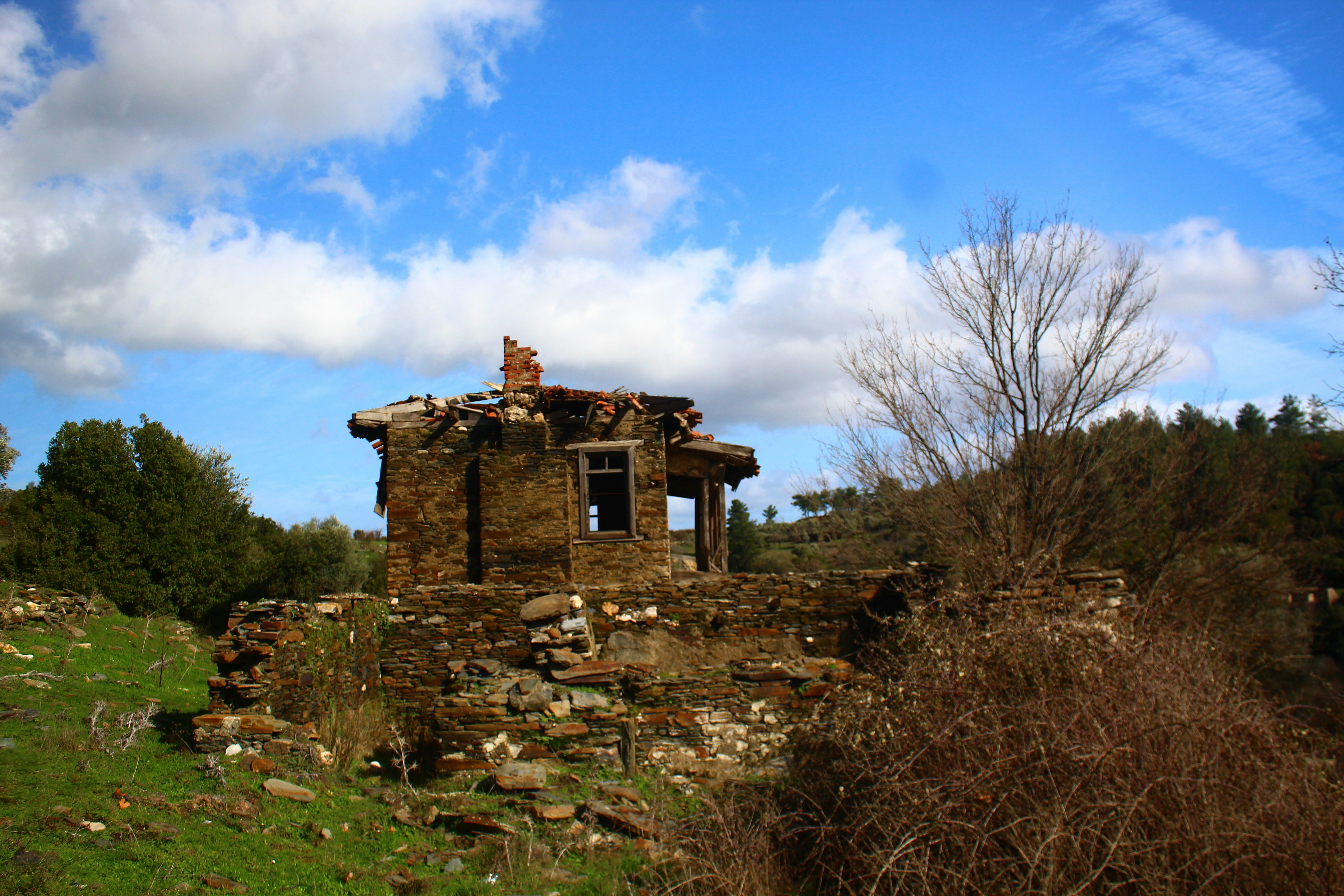 草むらに覆われた景観の中にある古い石造りの家の廃墟。