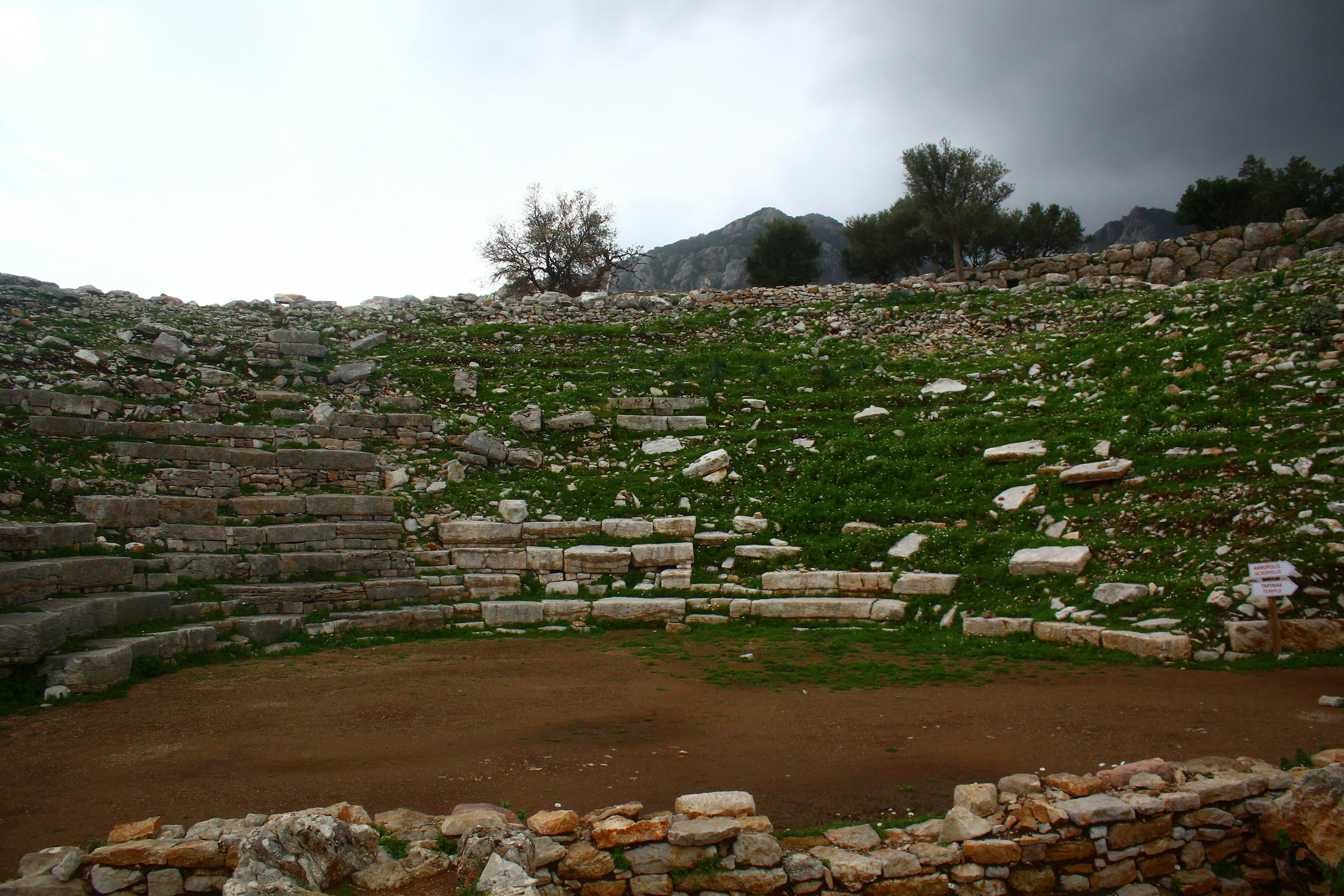 Ancient stone amphitheater with overgrown green grass