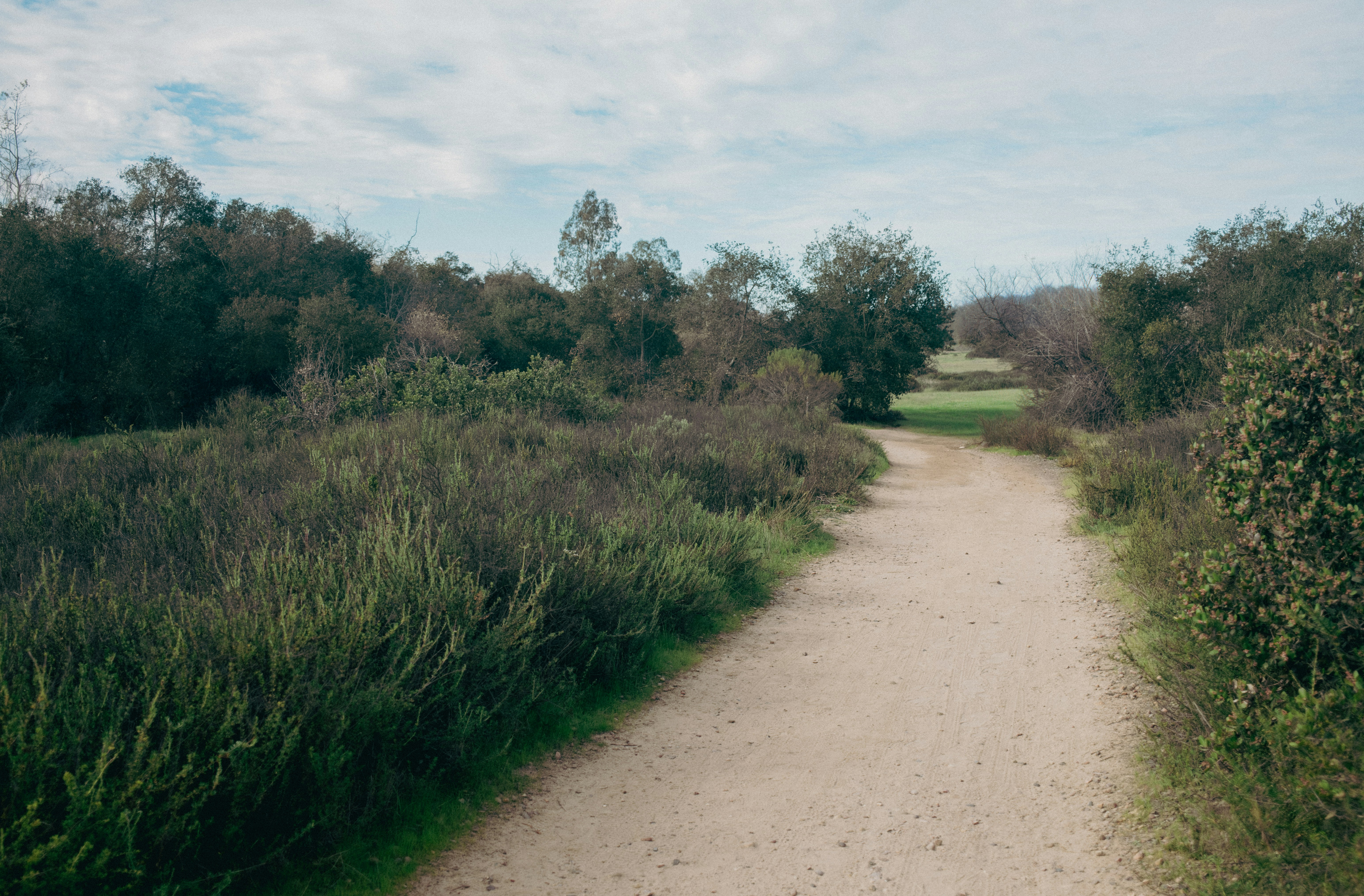 Photo by meanwhileinsandiego