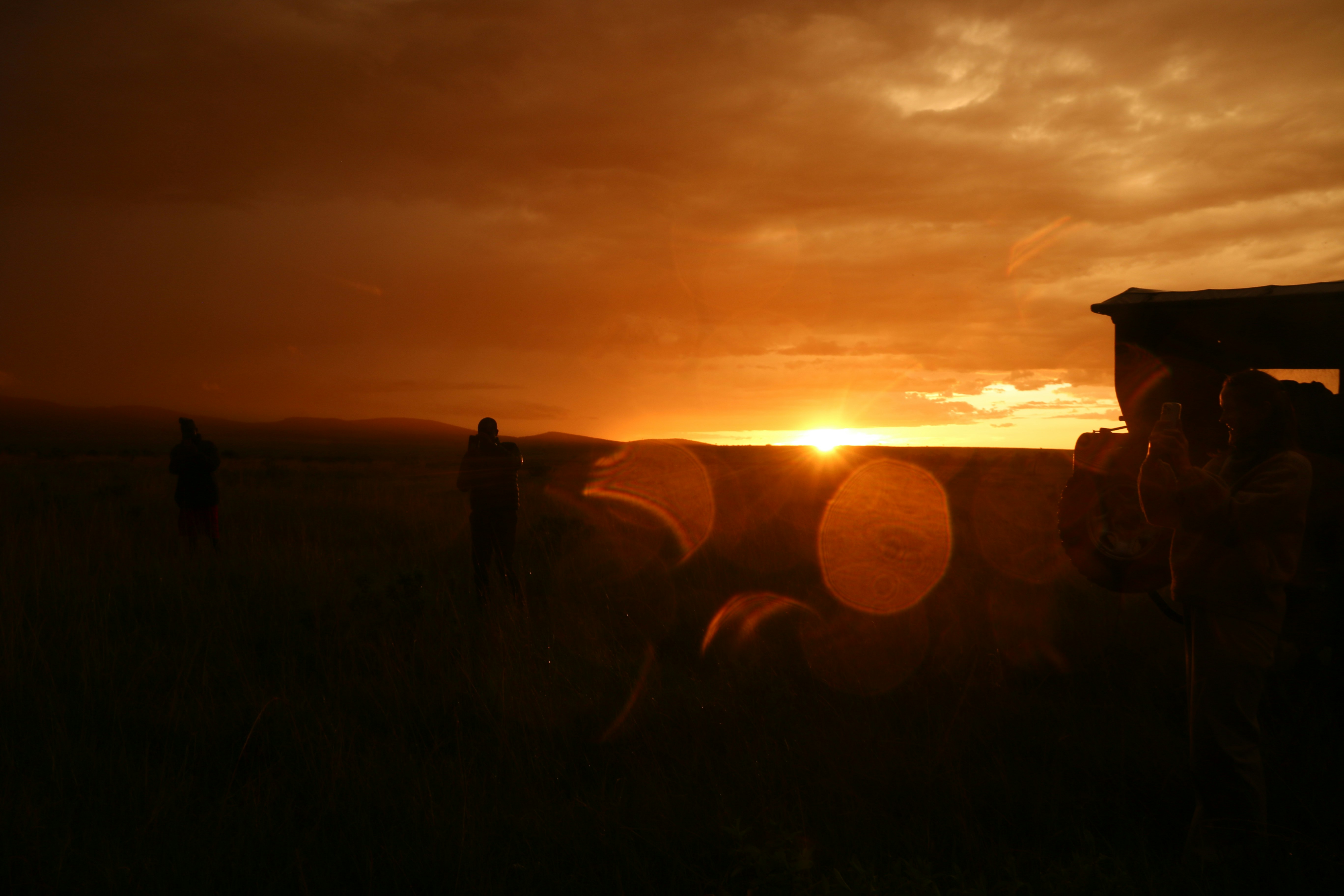 Photo by polinakoroleva