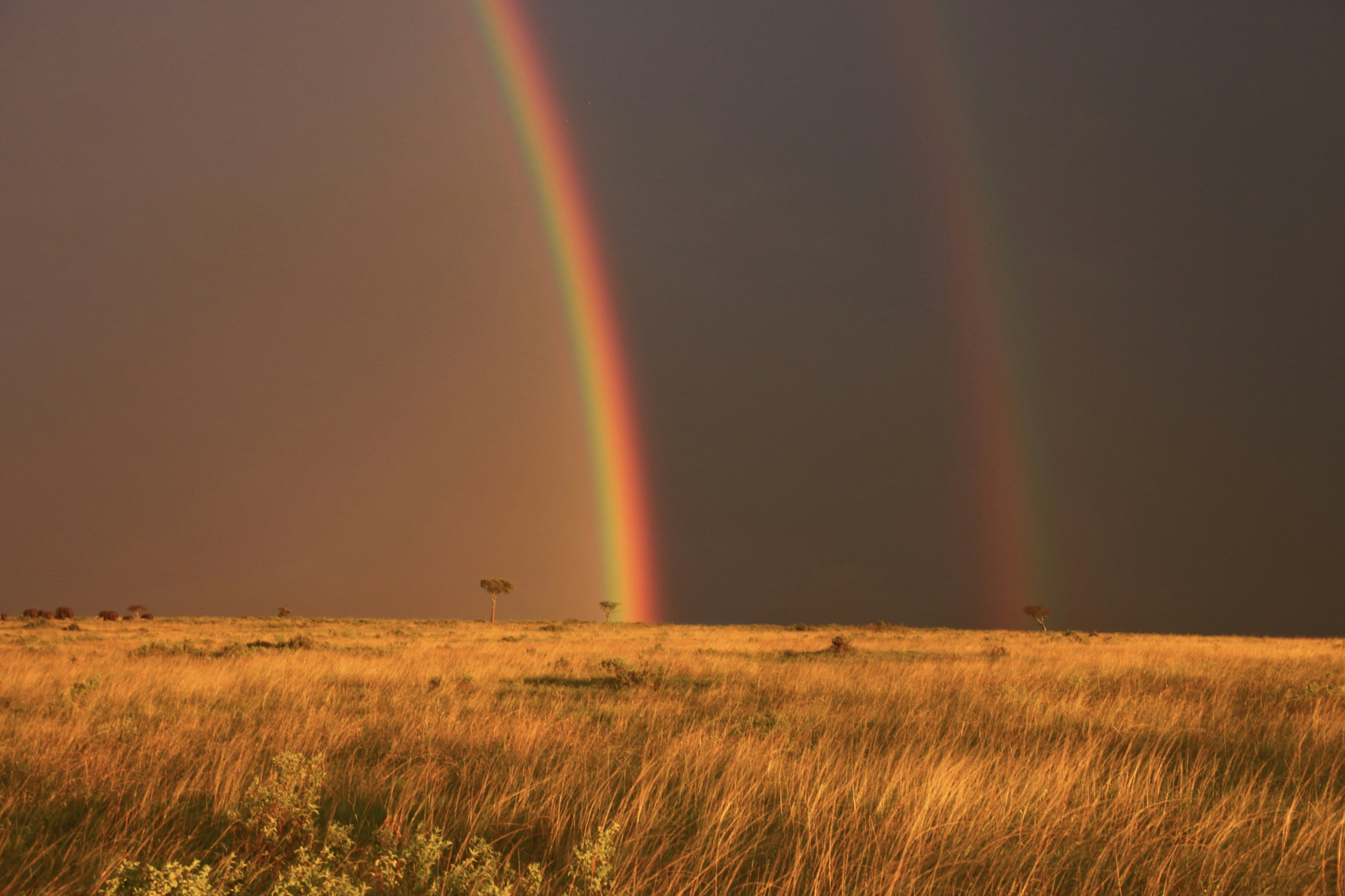 Photo by polinakoroleva