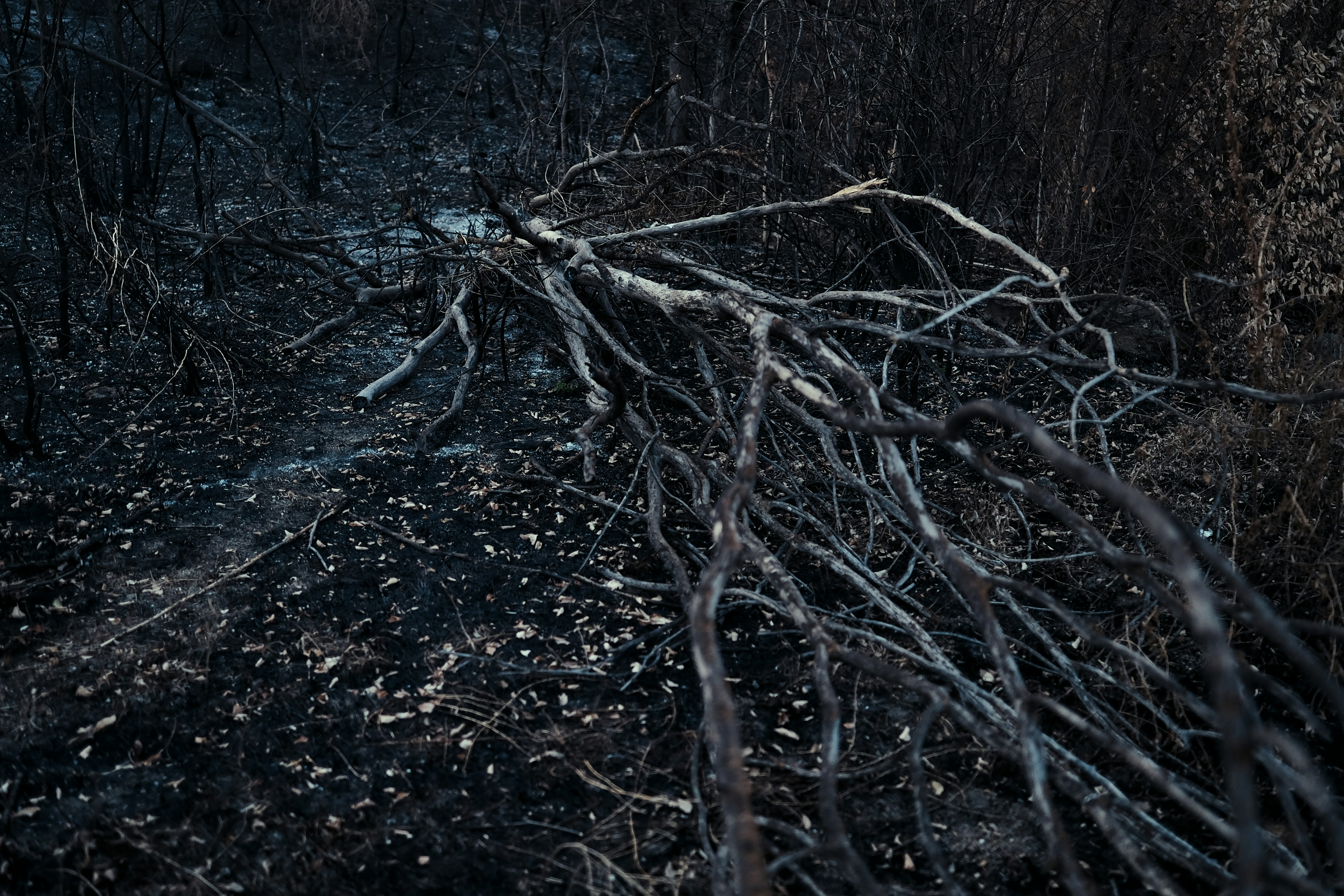 Photo by alluntsyatko