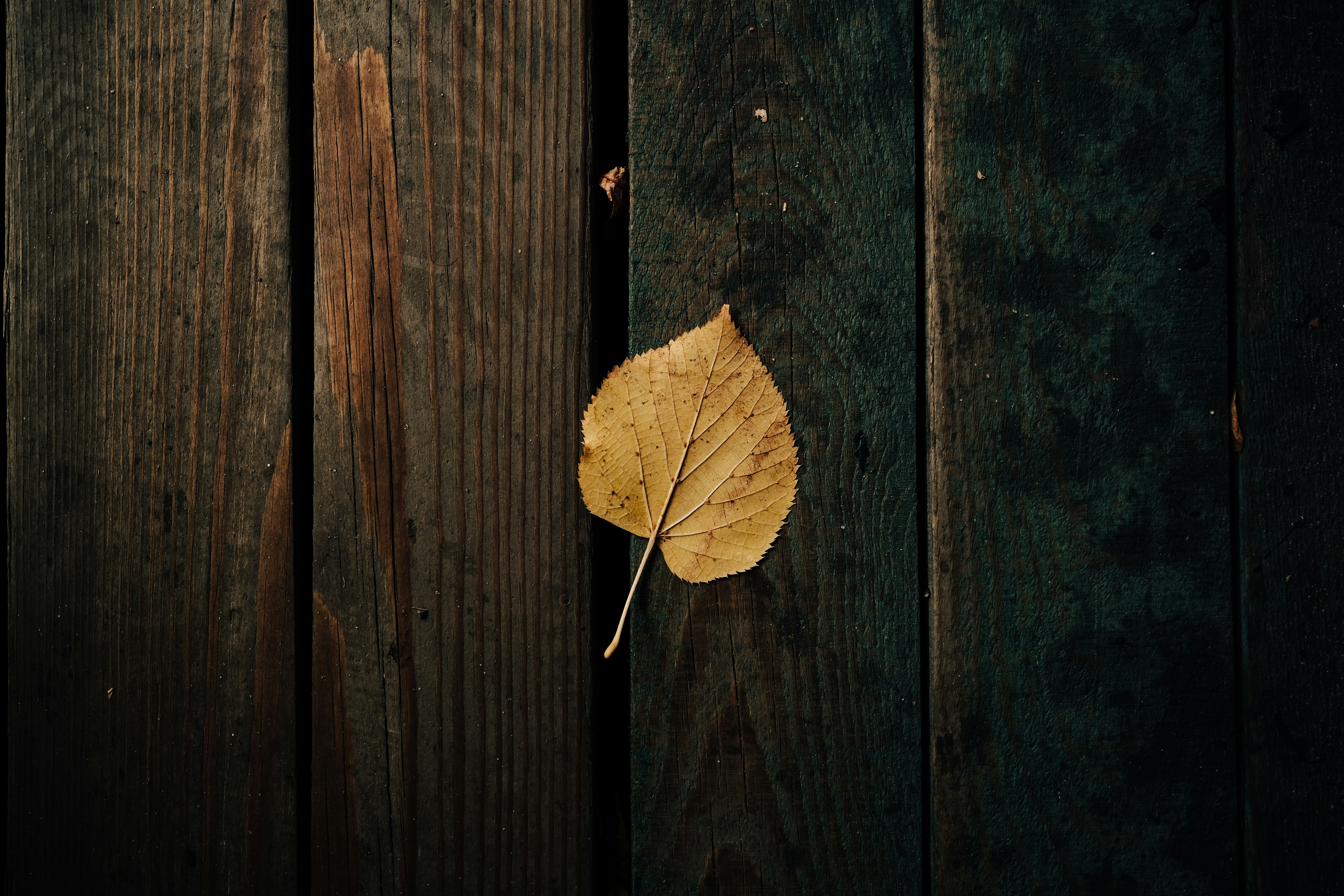 Photo by alluntsyatko