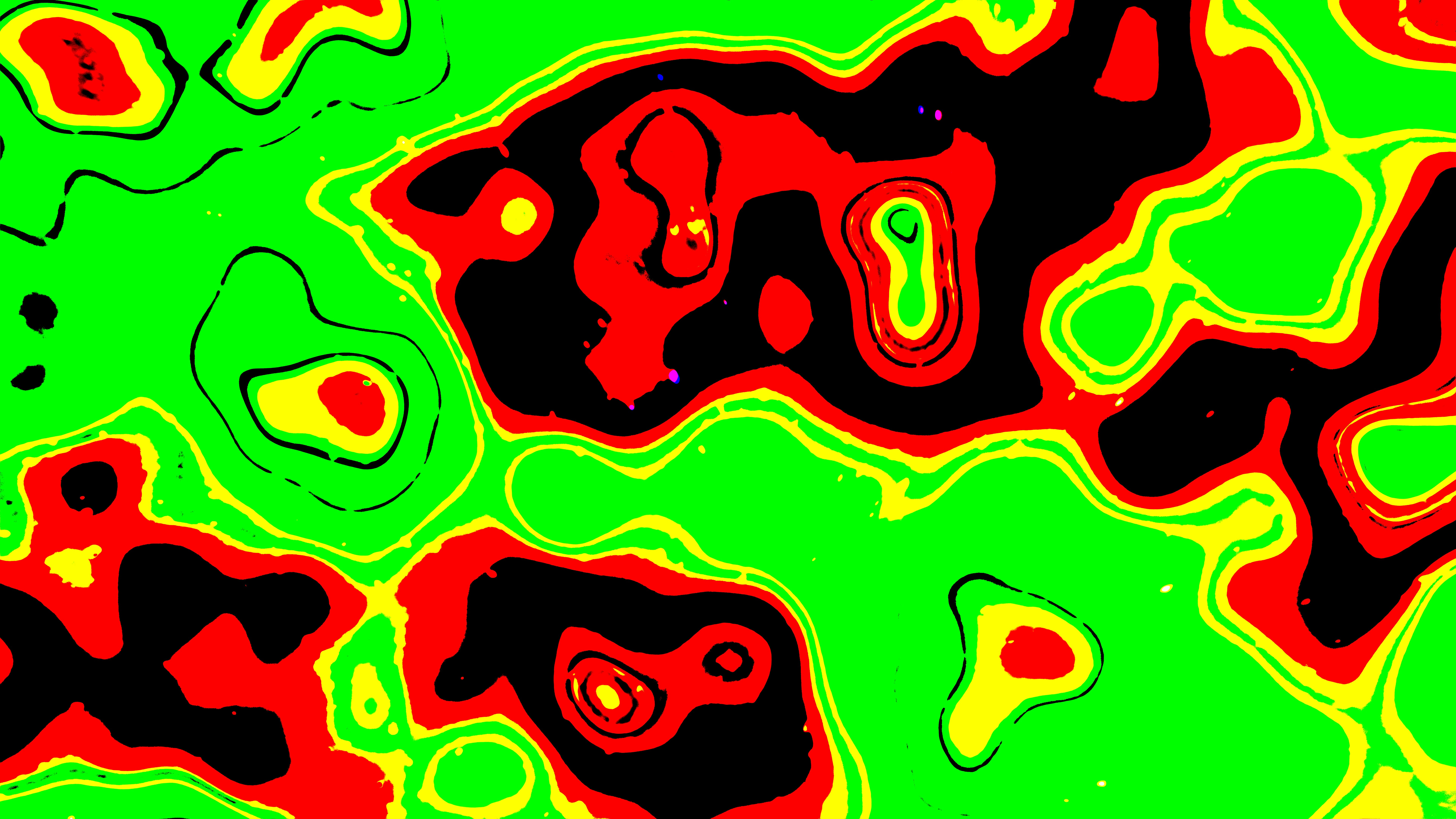 Vascular Thermography Image