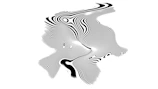 Abstract black and white wavy lines on white background
