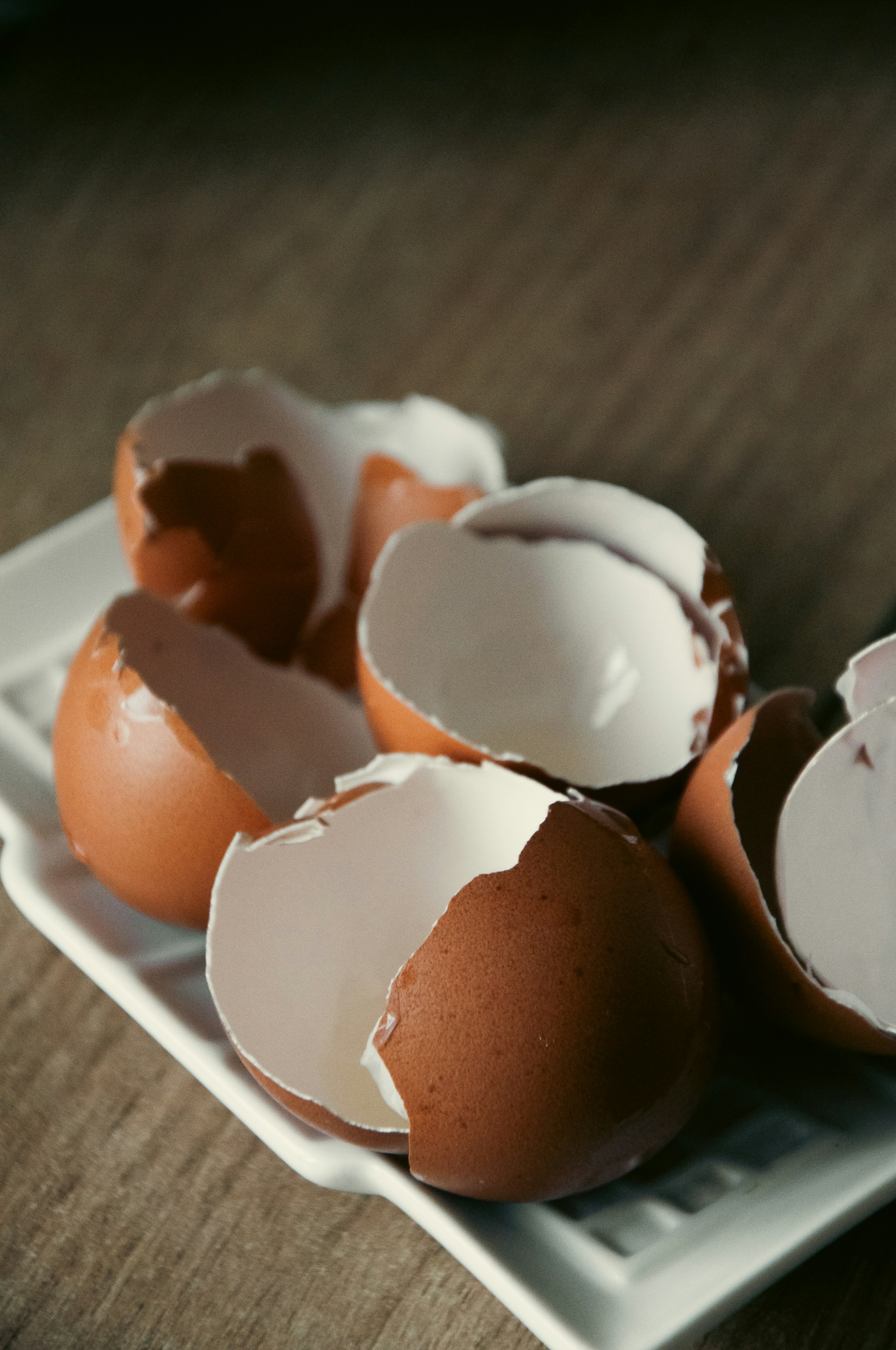 Cascas de ovo quebradas em um prato branco