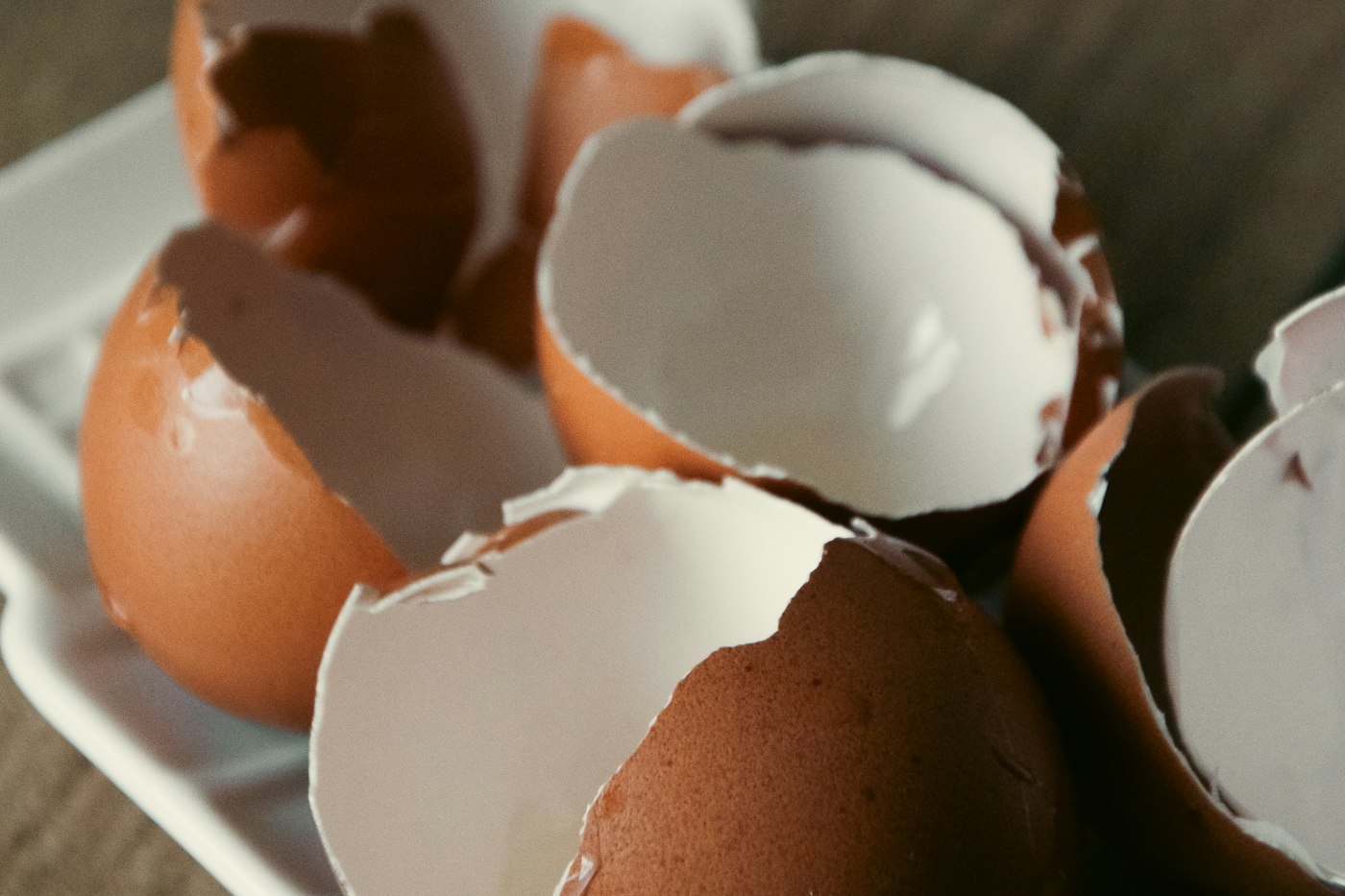 Crushed eggshells to add when you start a compost pile