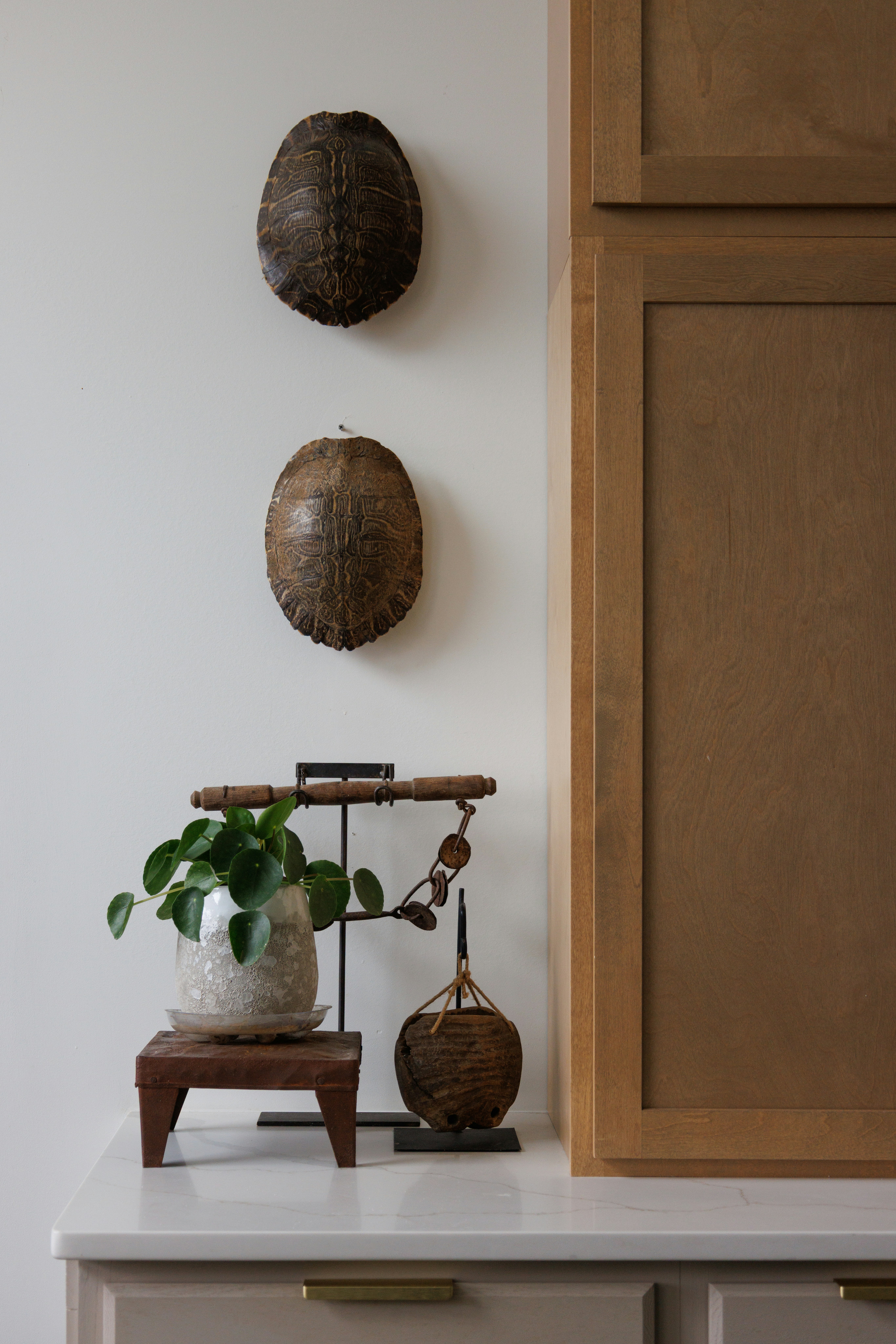 Photo by rosemarymedia