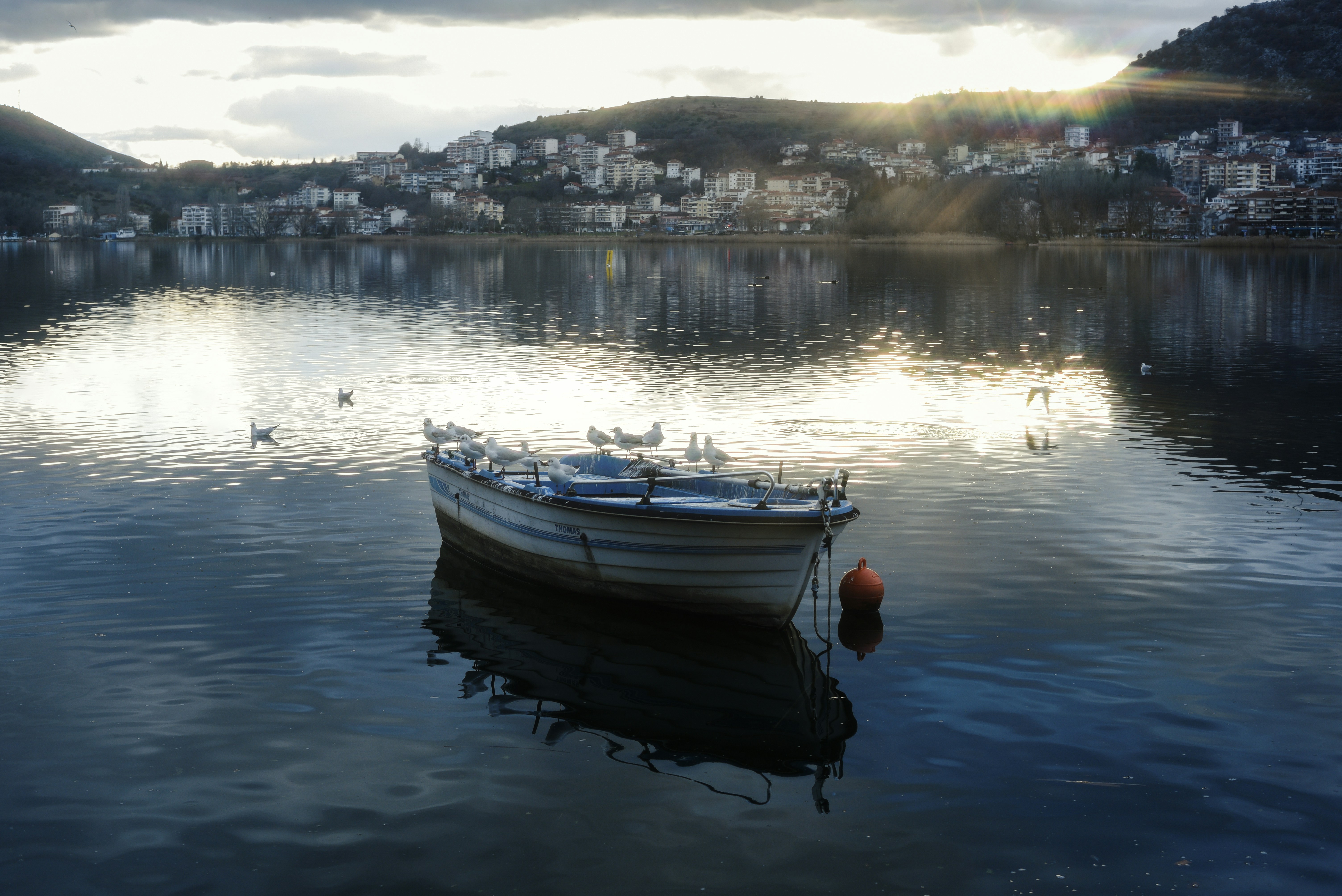 Barca con gabbiani su acque calme al tramonto