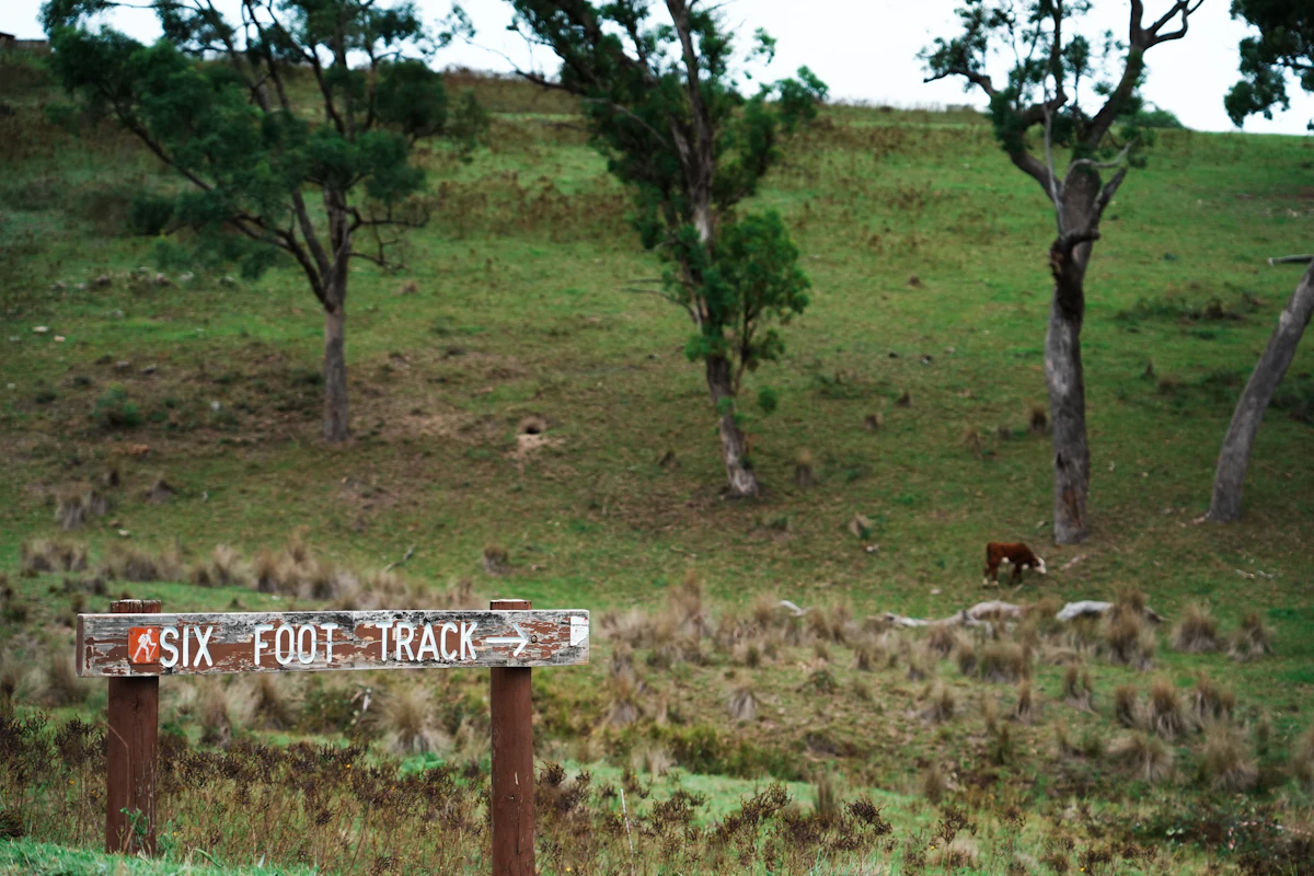 A wooden Six Foot Track sign in a grassy paddock with scattered trees