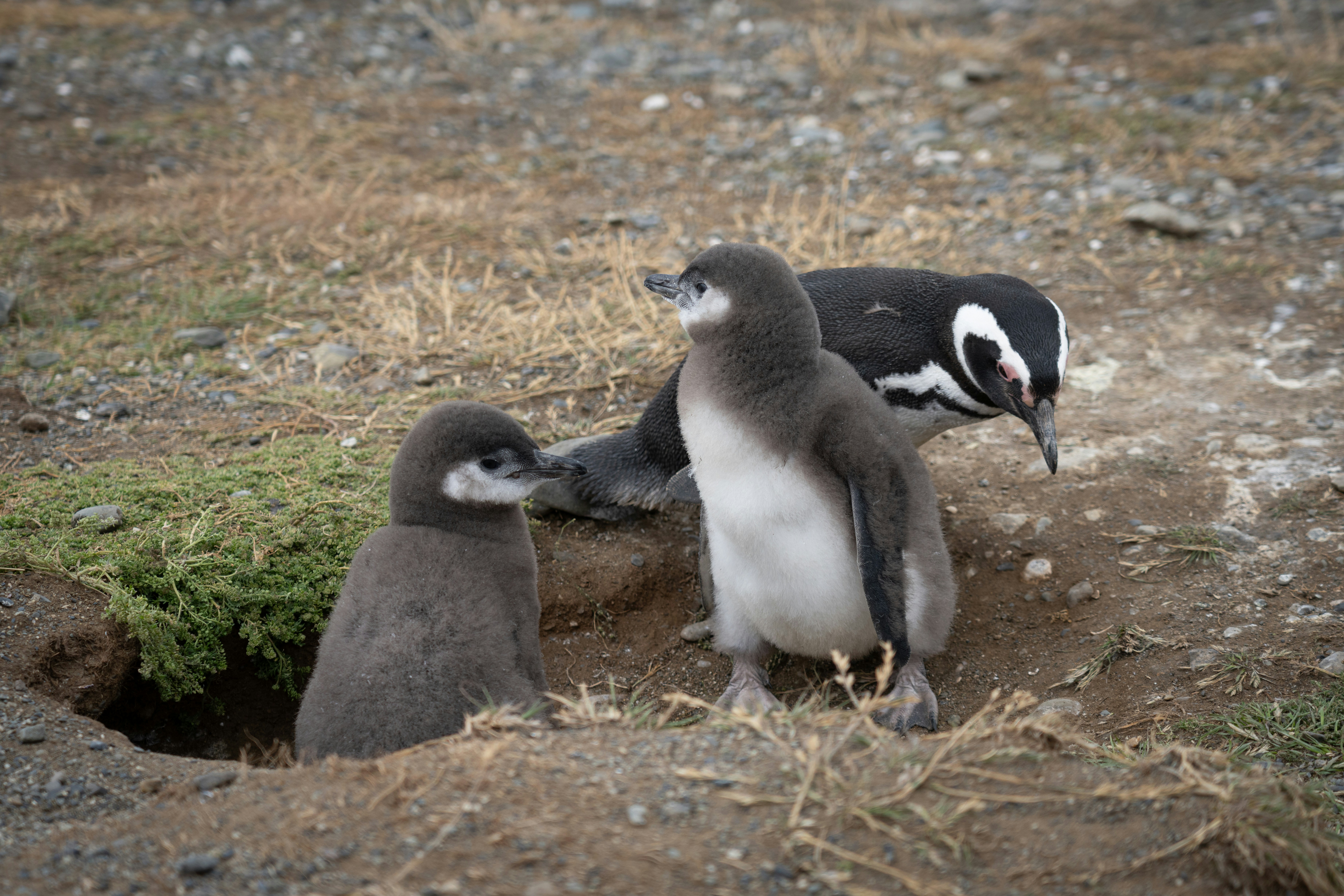 Photo by alexanderbelikoff