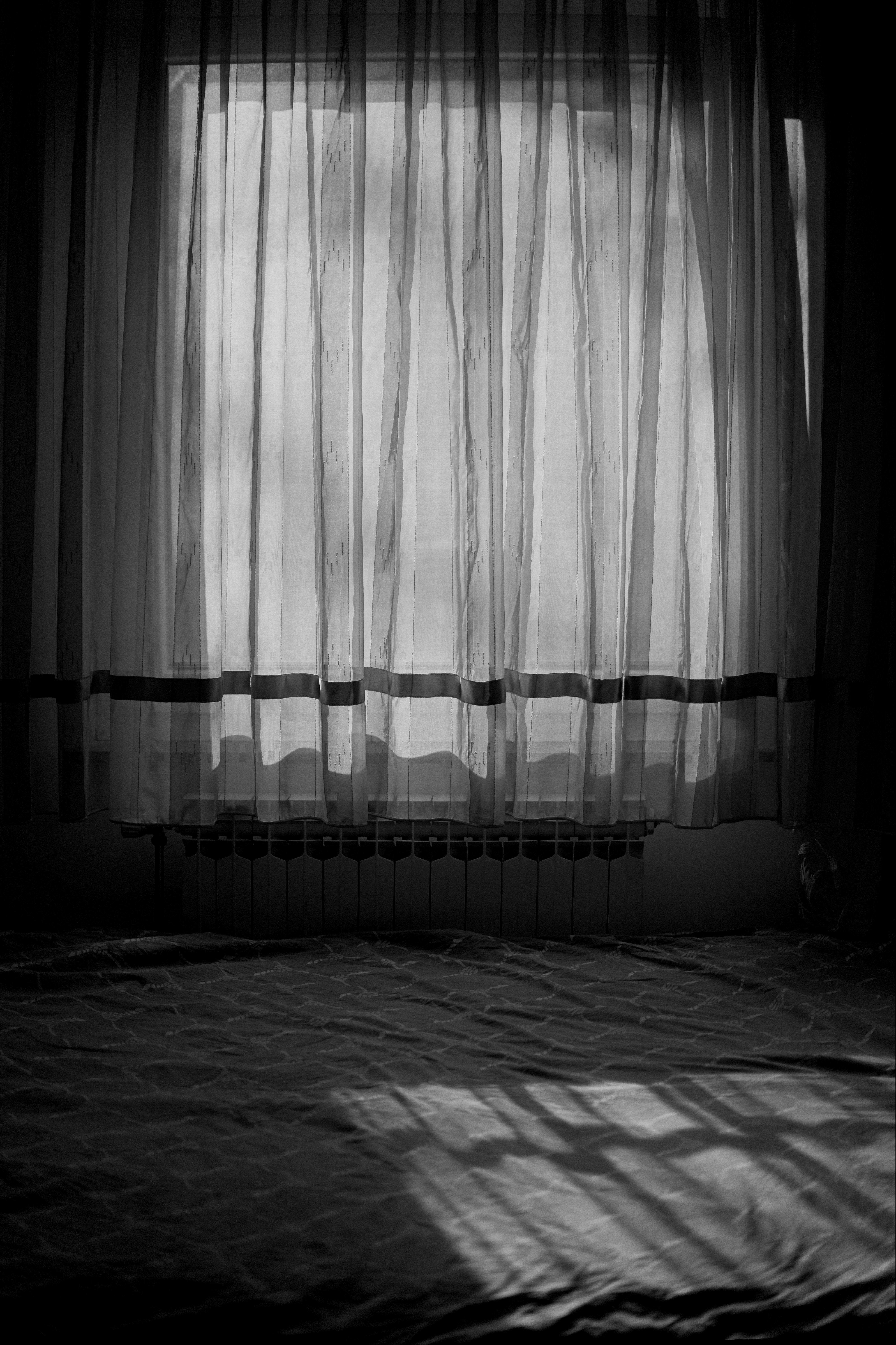 Photo by nedimshoots