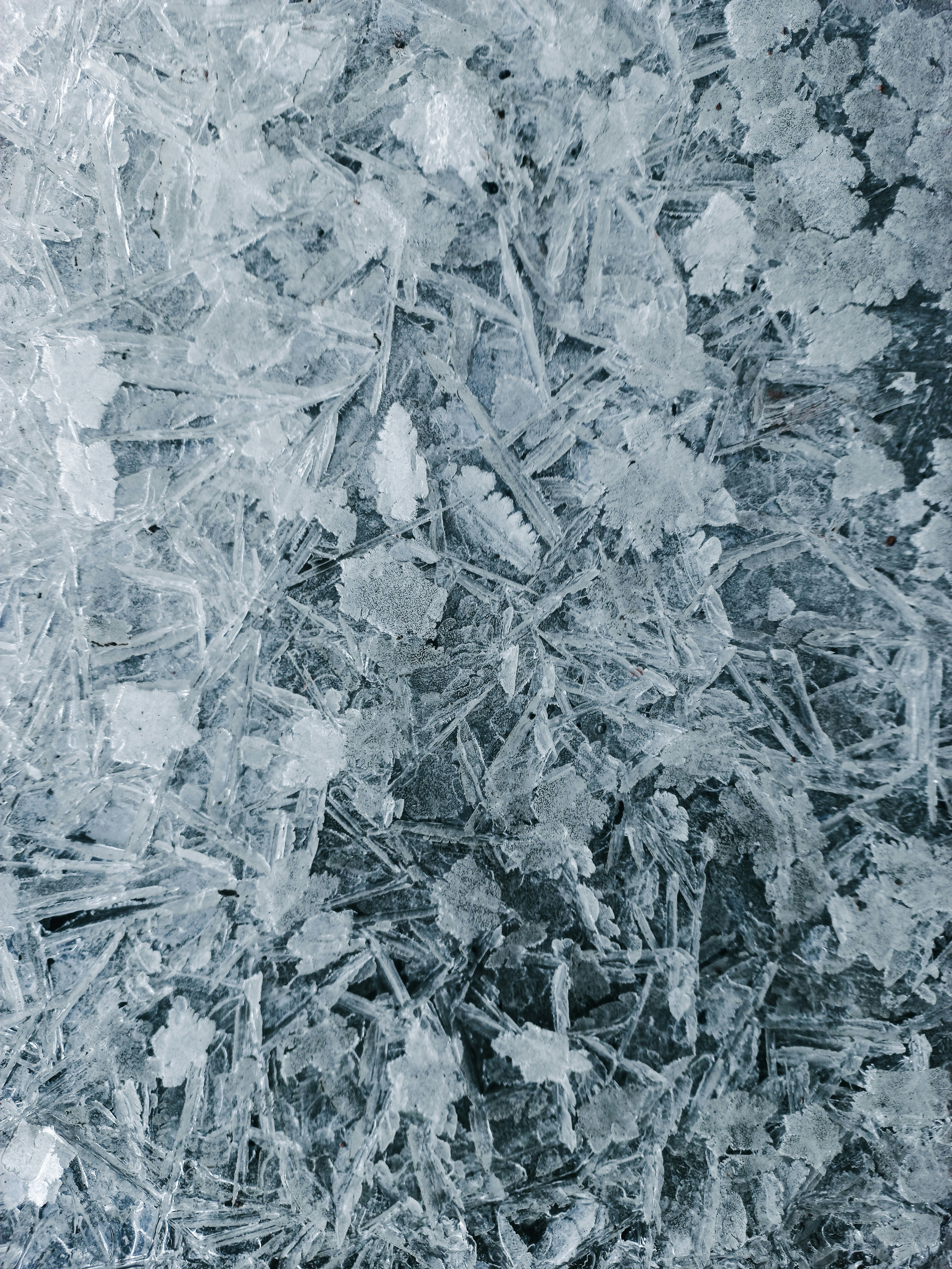 Nahaufnahme von Frostkristallen auf einer dunklen Oberfläche