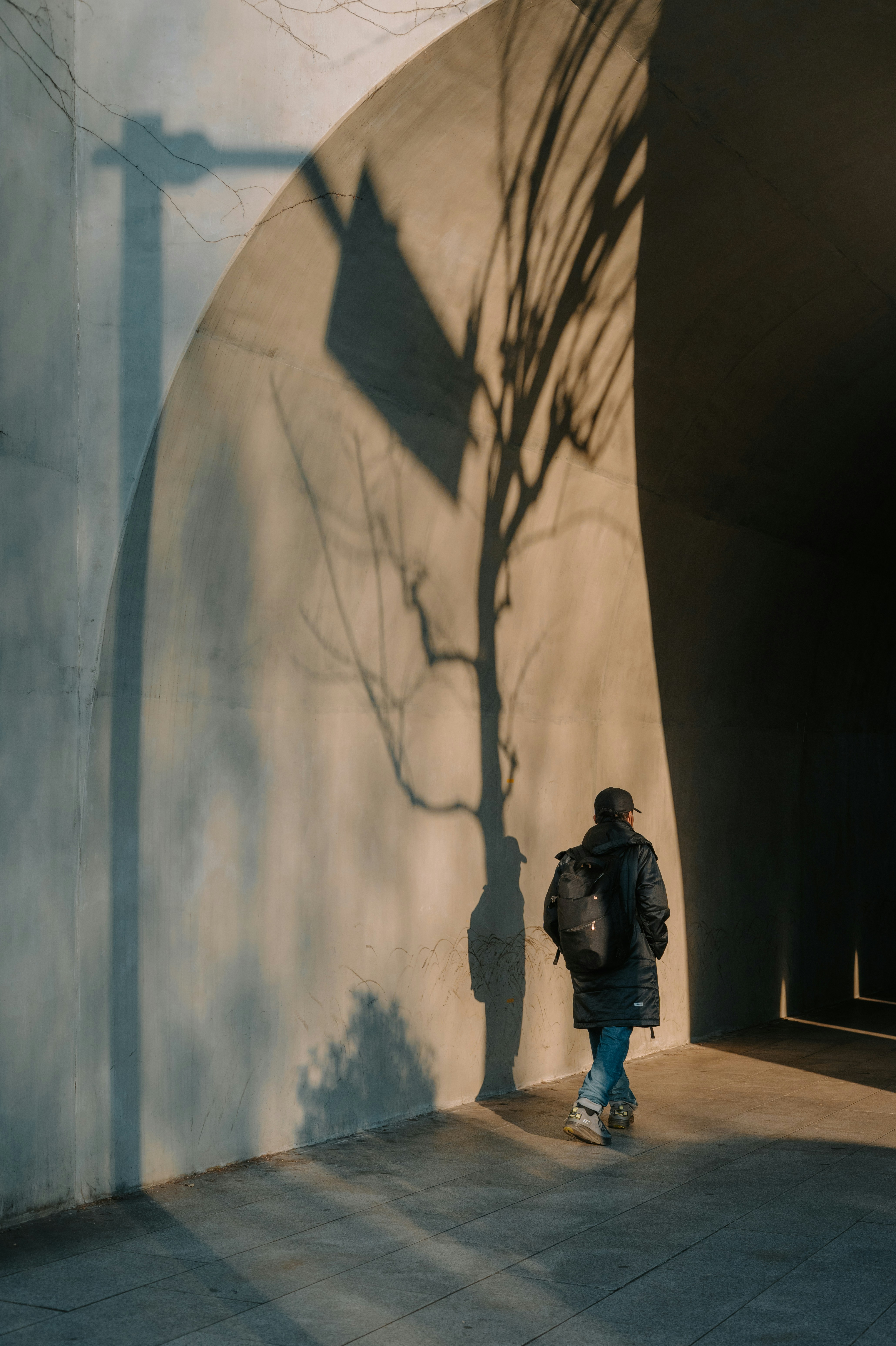 Person walks by a wall with tree shadow