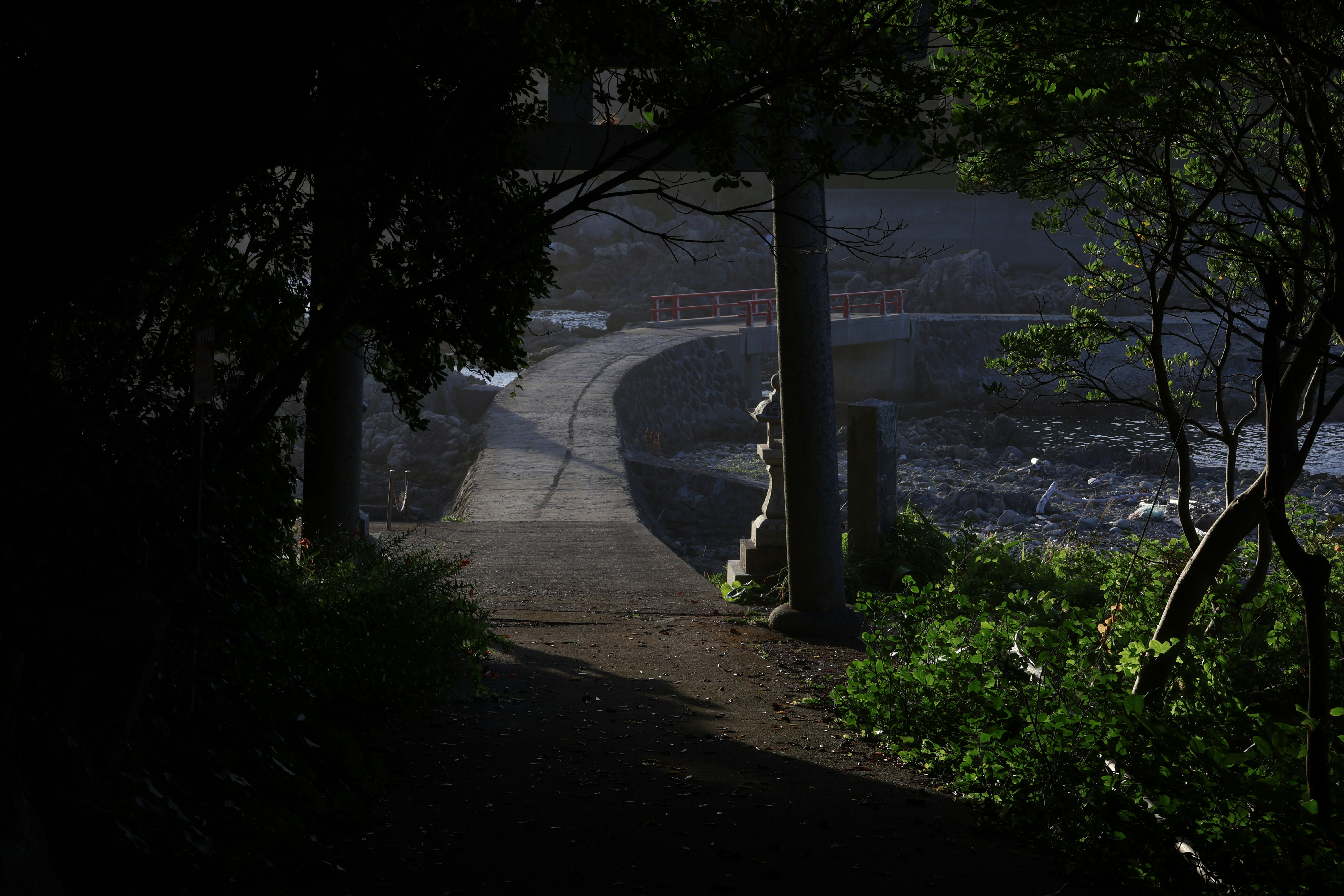 Path through a torii gate towards a bridge