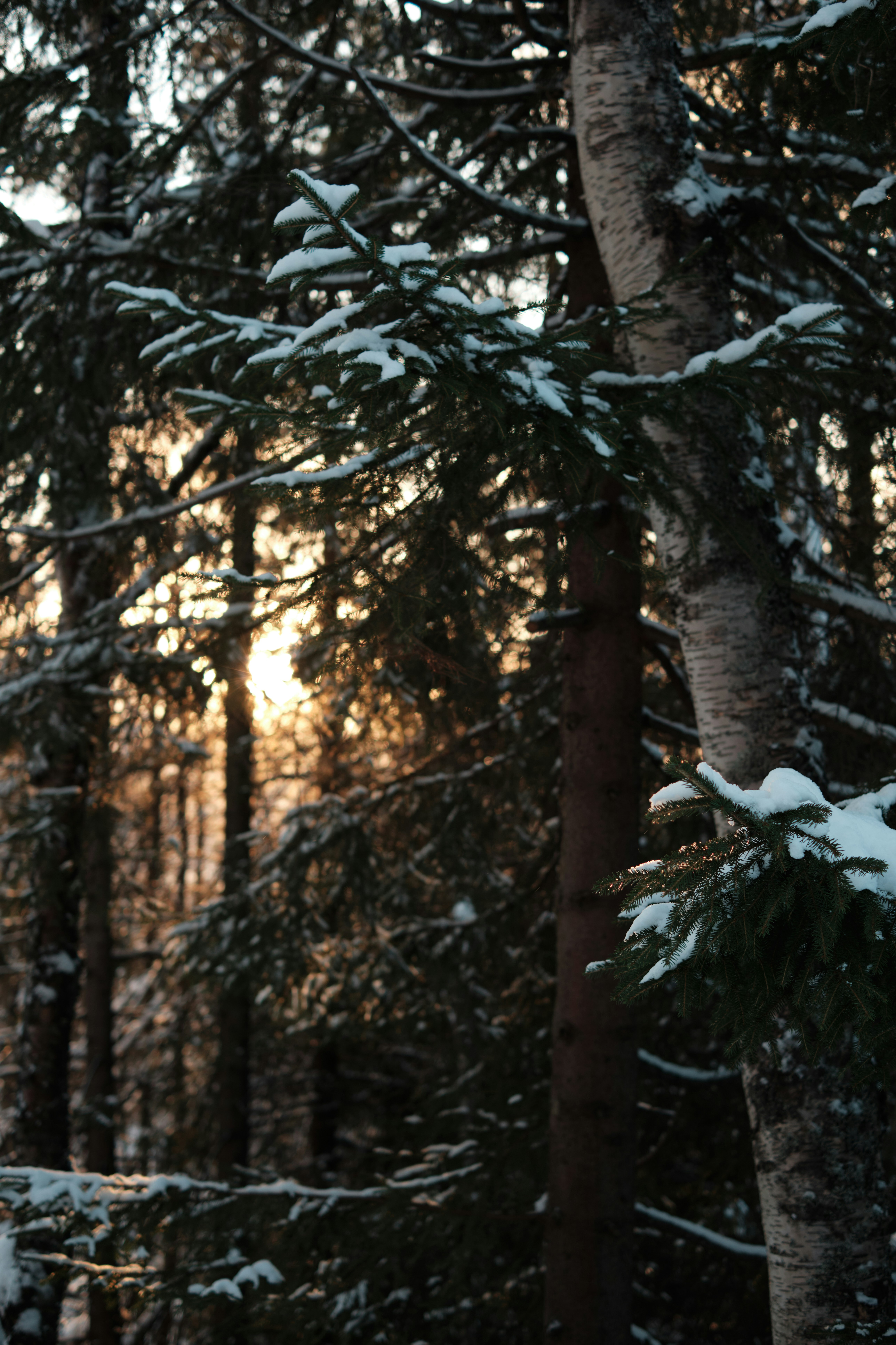 Photo by streit0liver