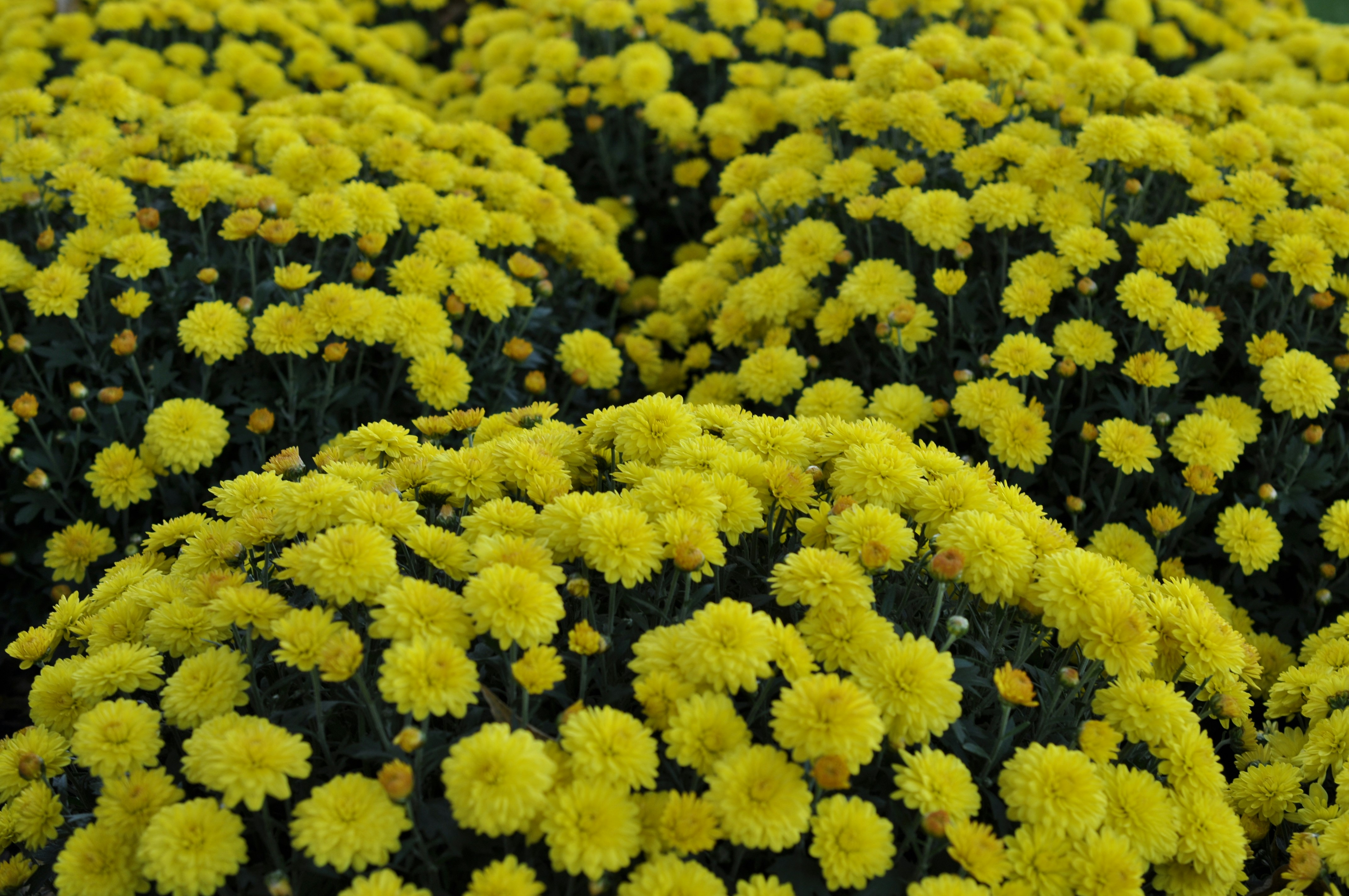 Photo by kateandress