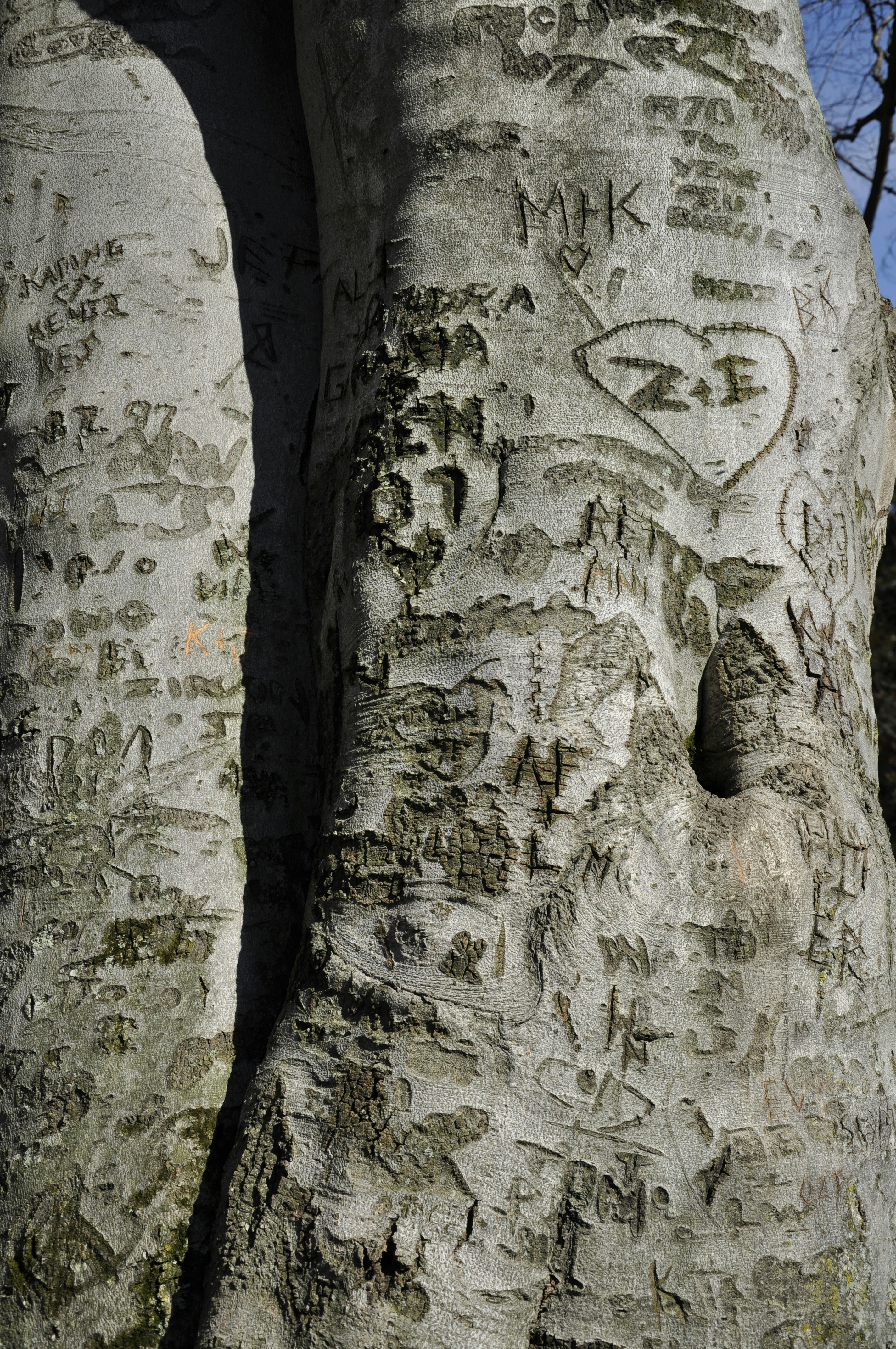 Photo by kateandress