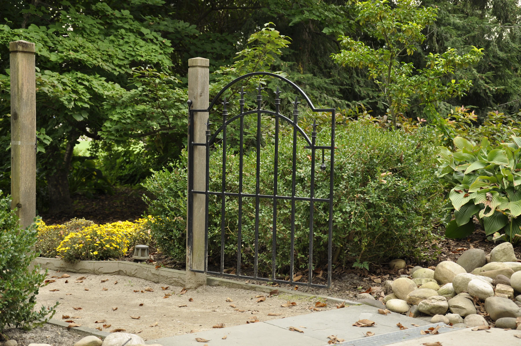 Open ironwork garden gate set into lush green planting and mature hedging