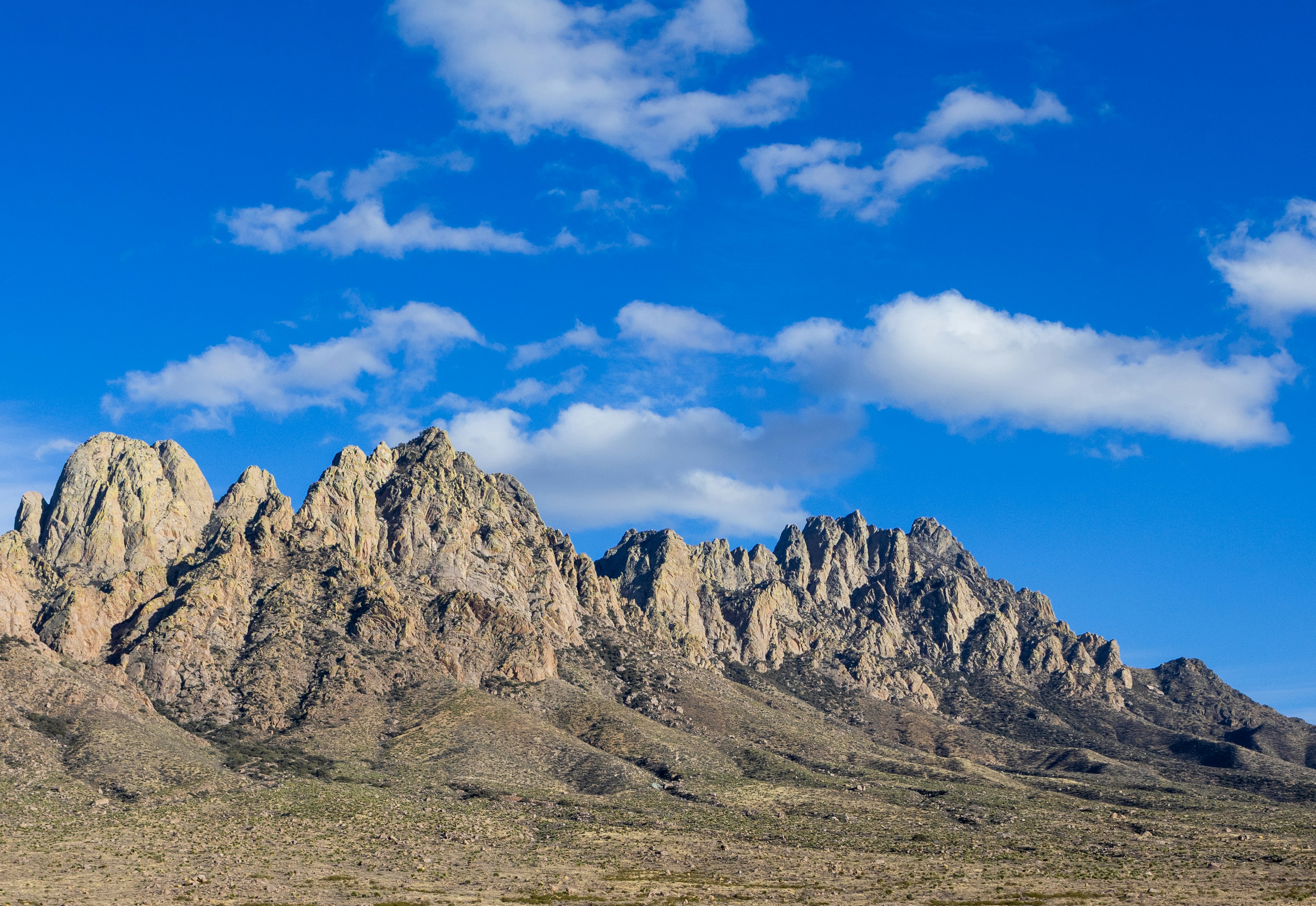 Photo by wilsonsharpshots