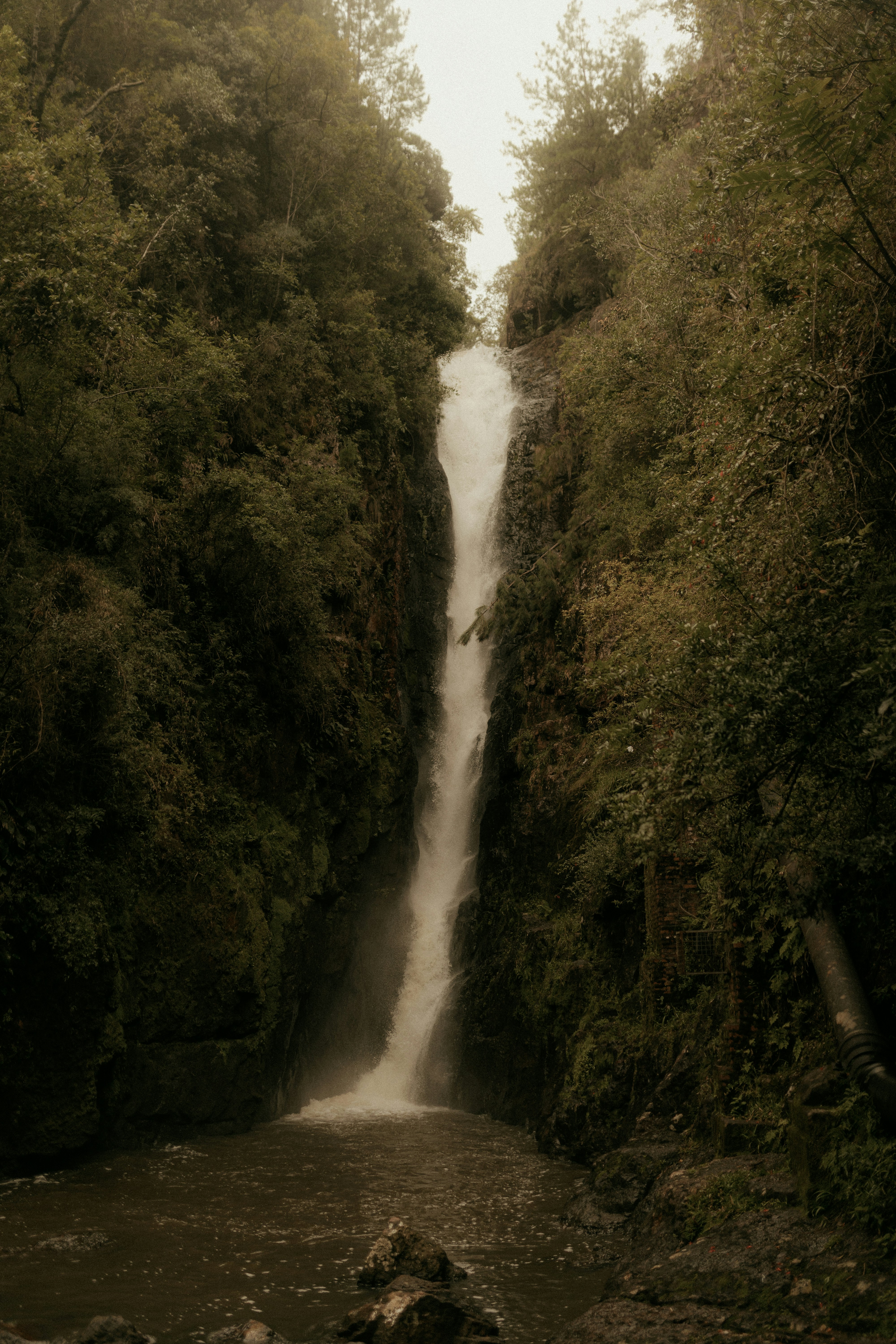 Photo by alexandermassph