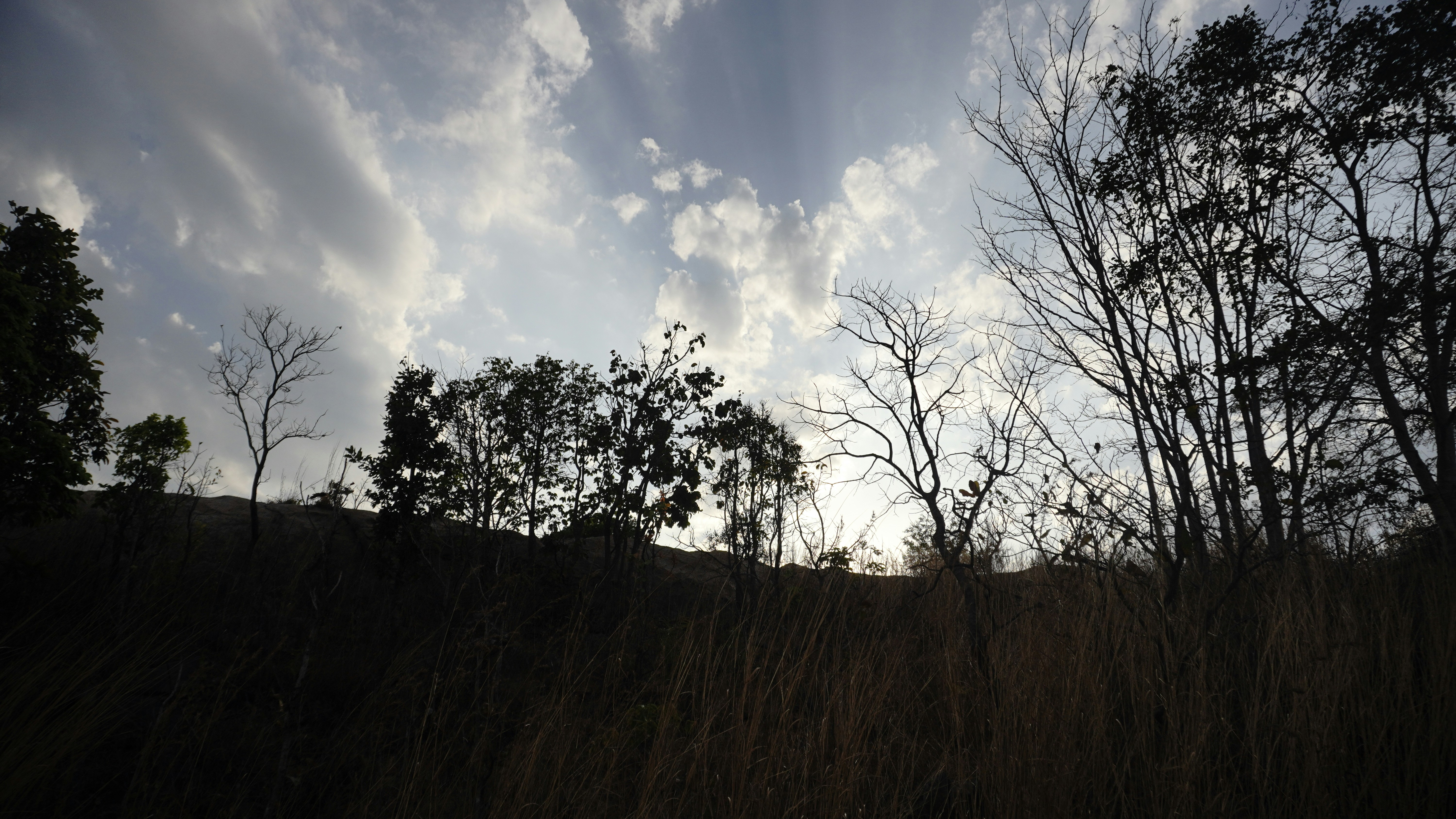 Photo by pavitra_baxi