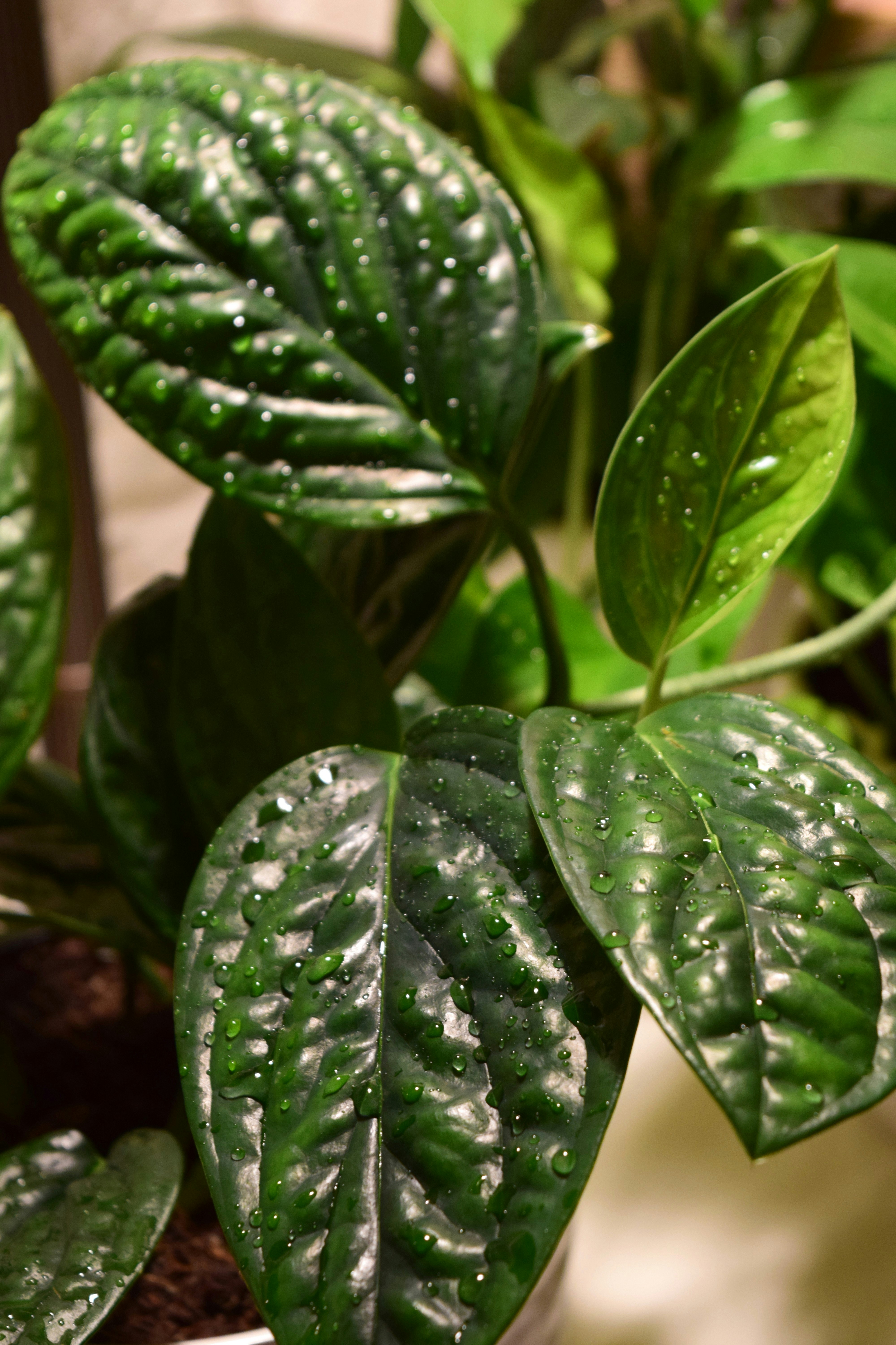 Photo by rebeccamatthews