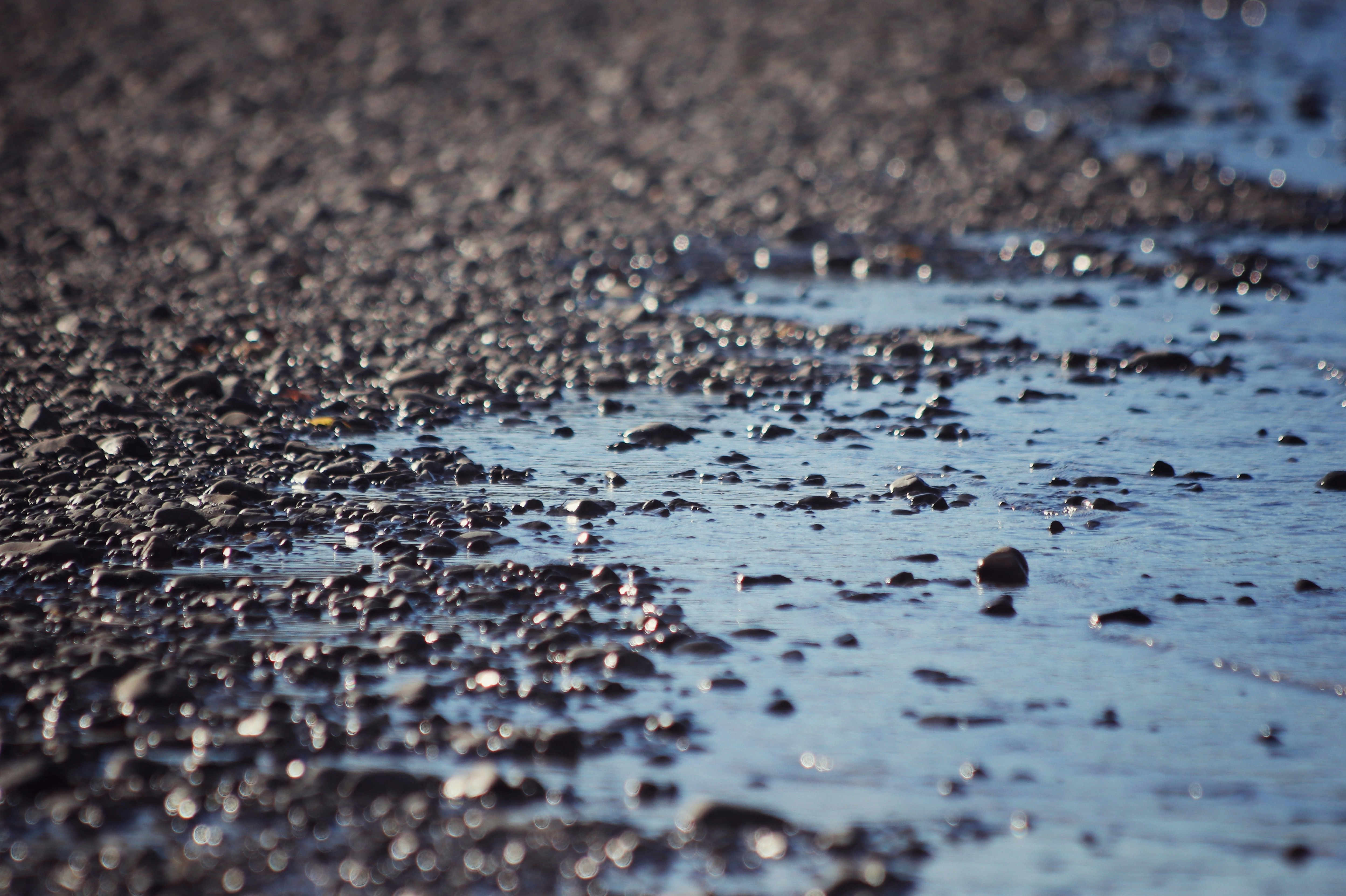 Photo by valiant_lambda