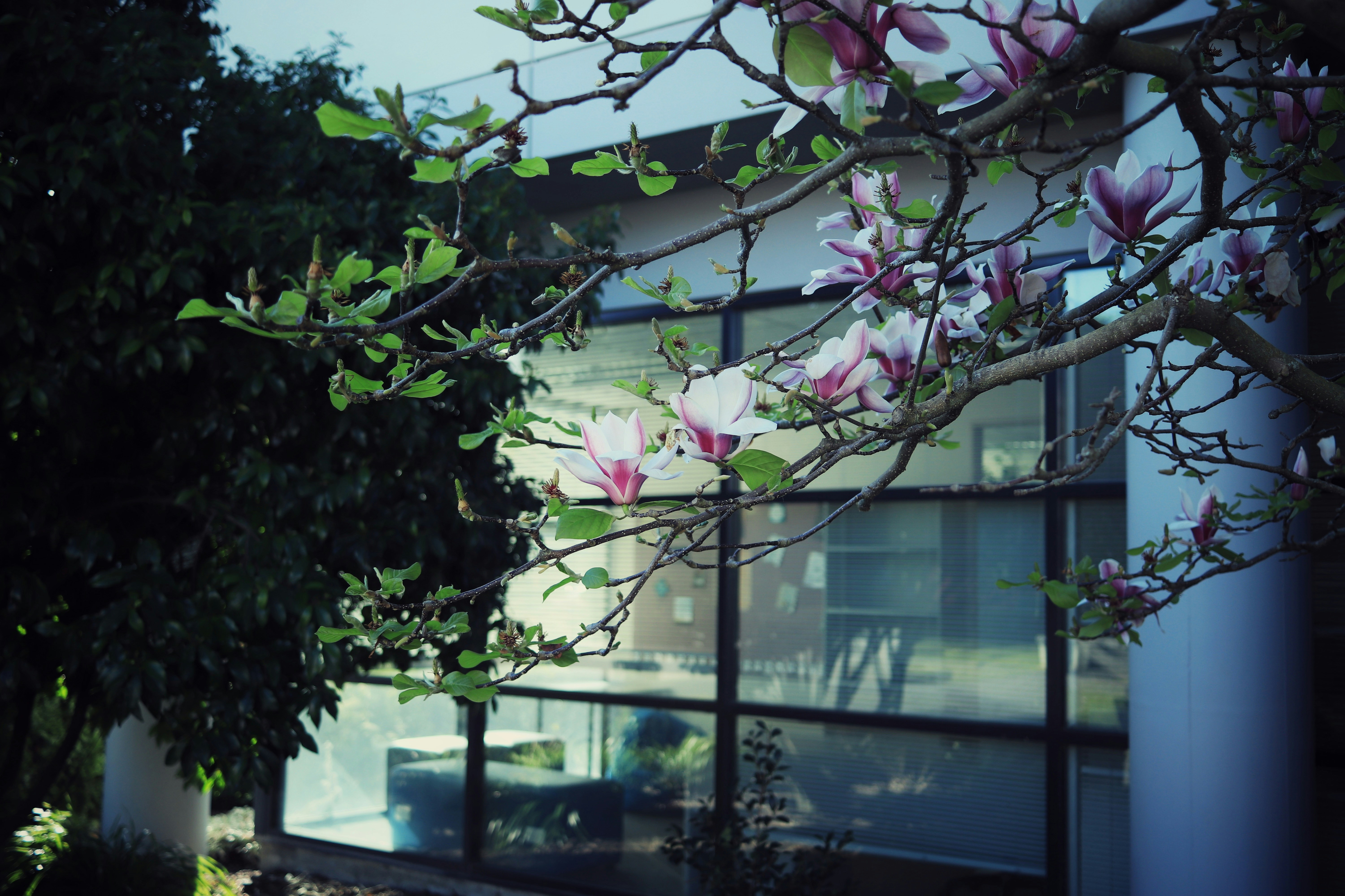 Photo by valiant_lambda