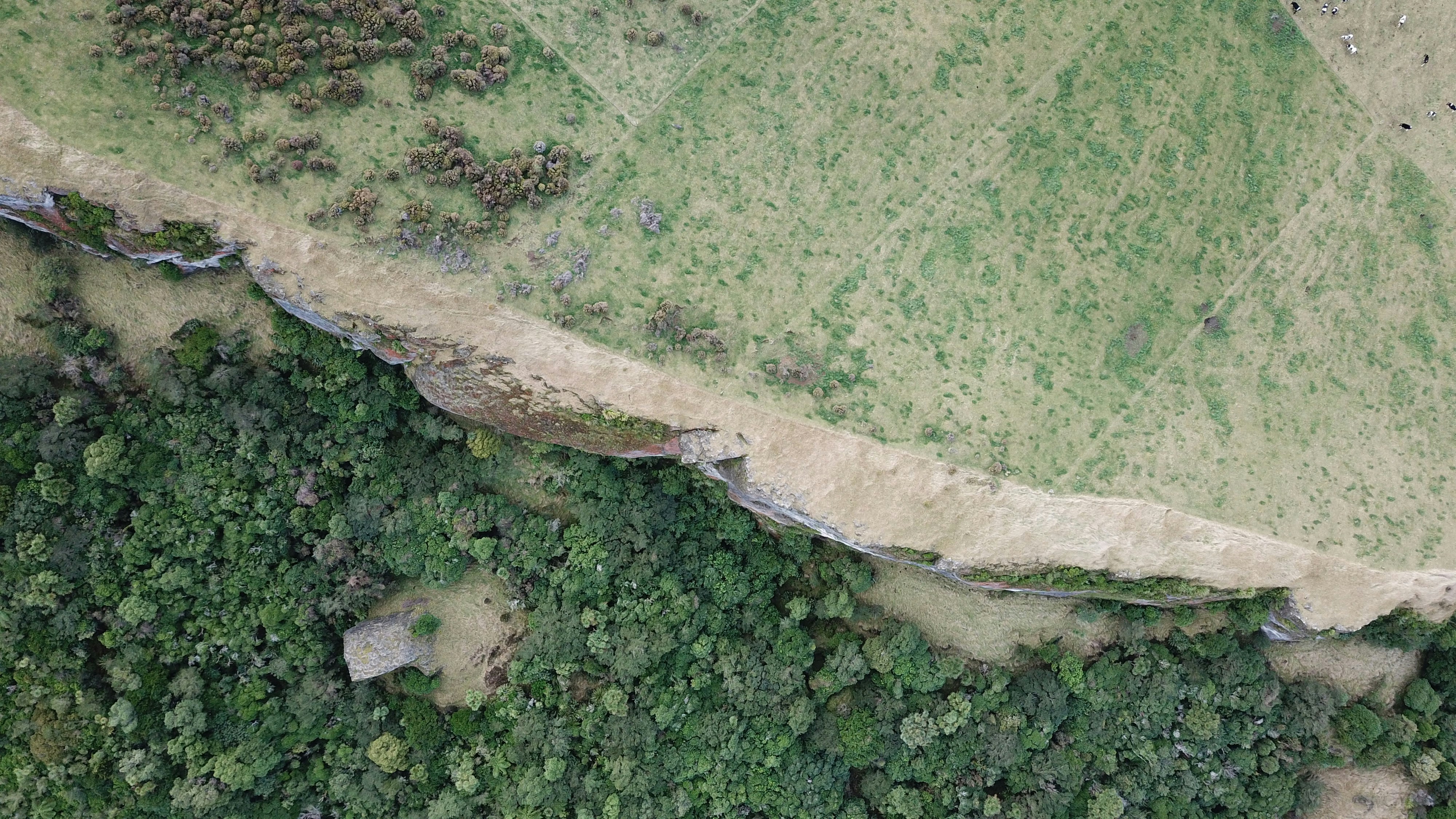 Photo by valiant_lambda