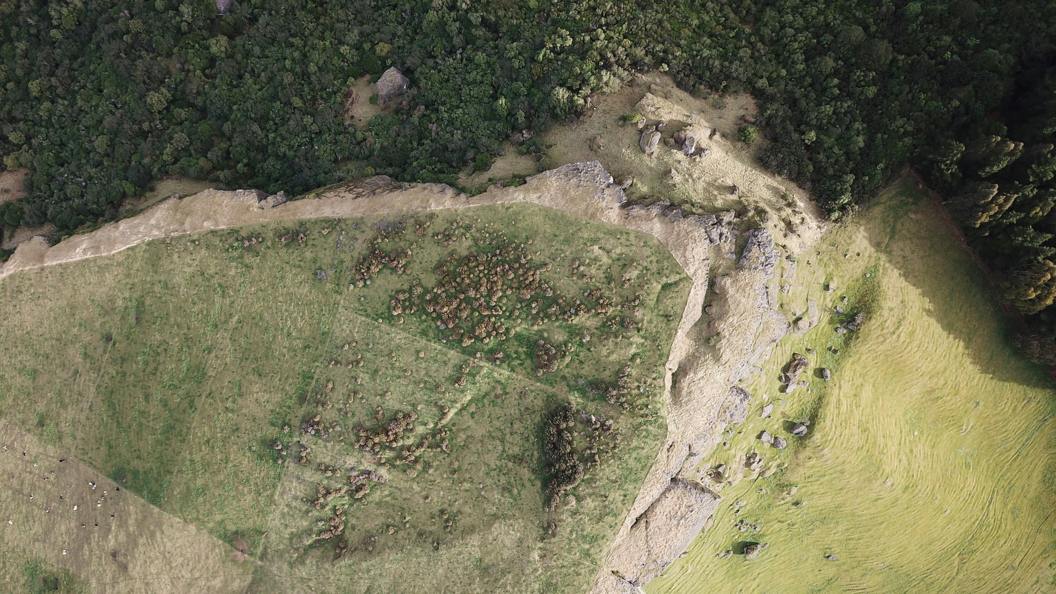 Photo by valiant_lambda