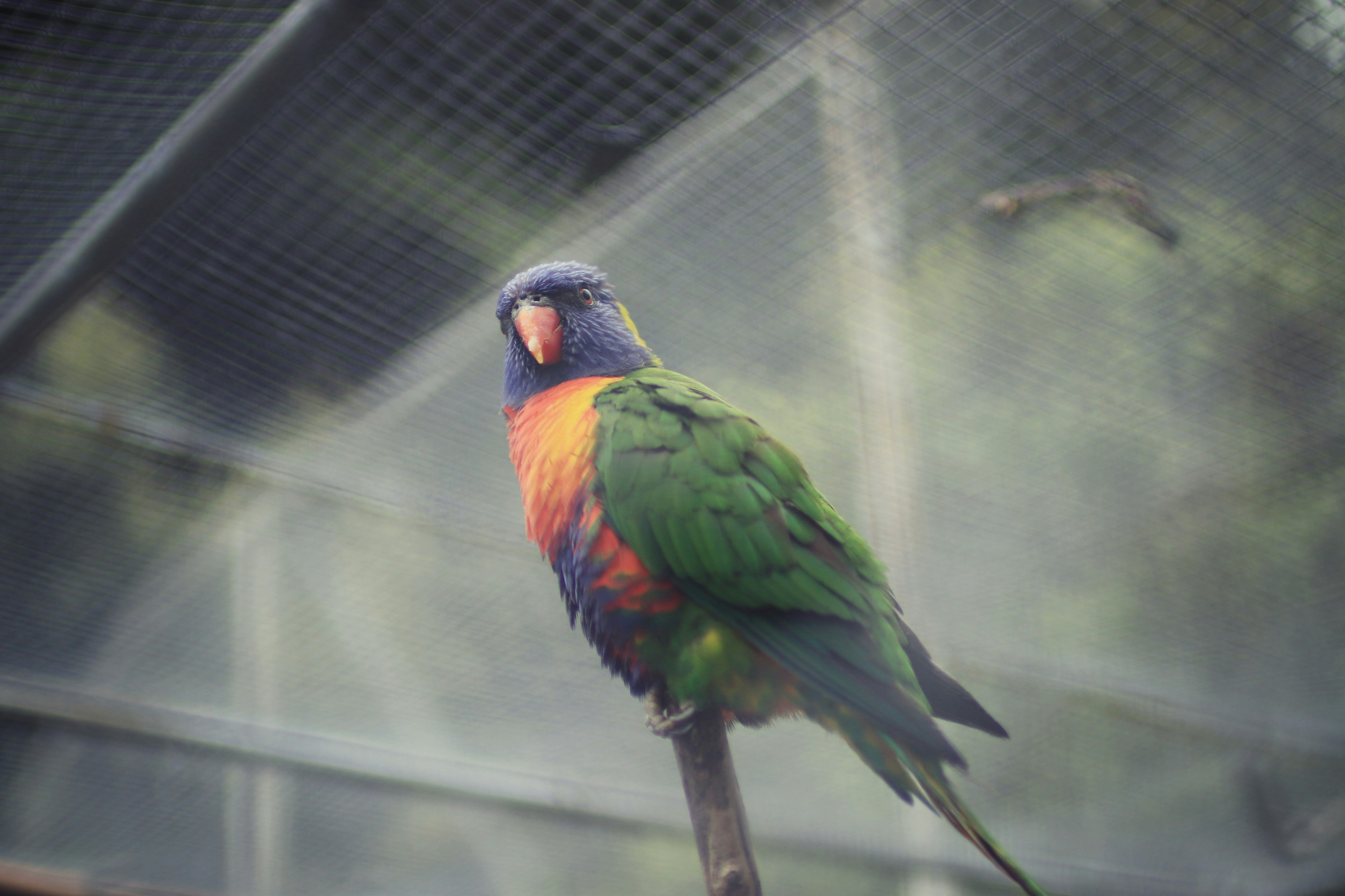 Photo by valiant_lambda