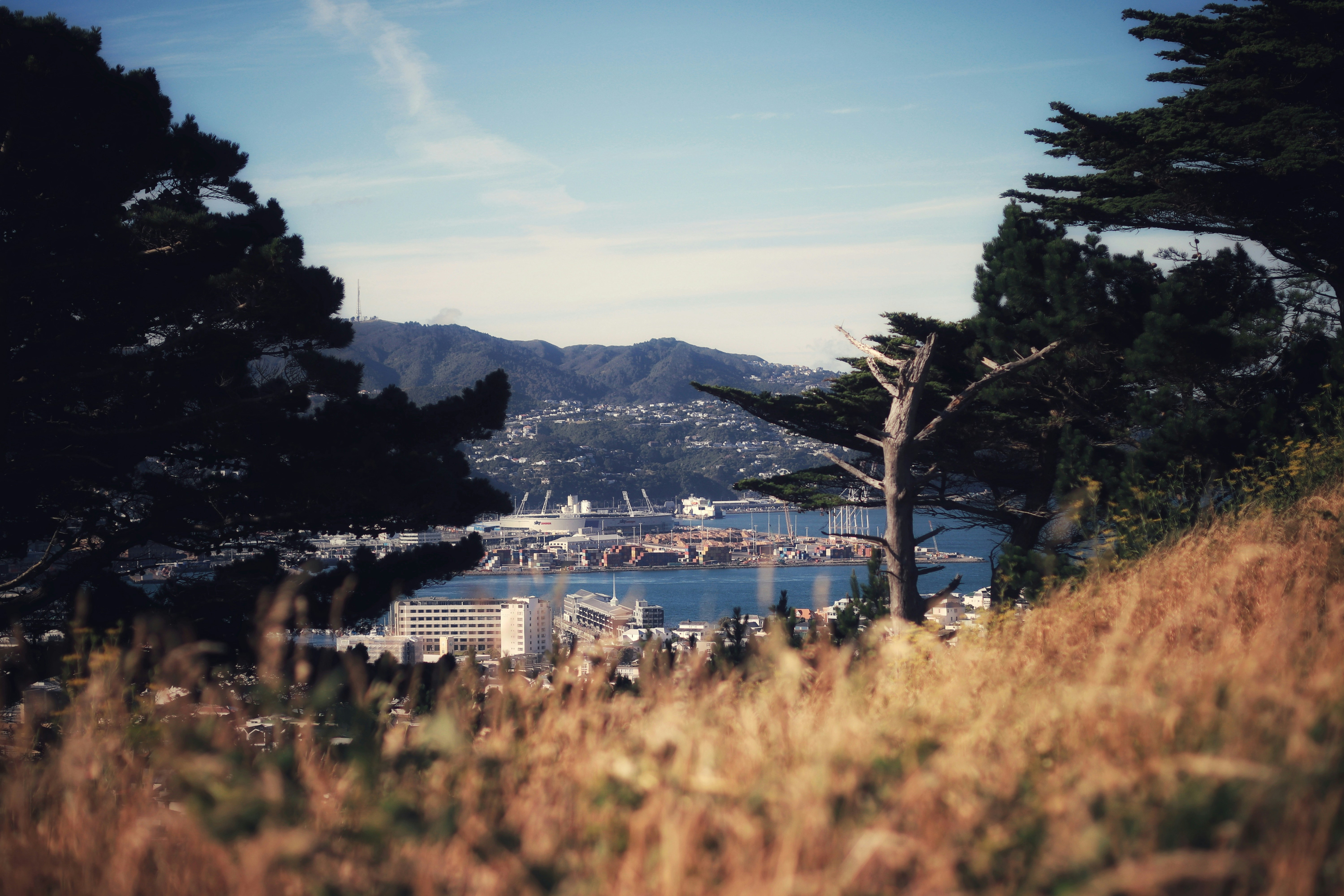 Photo by valiant_lambda