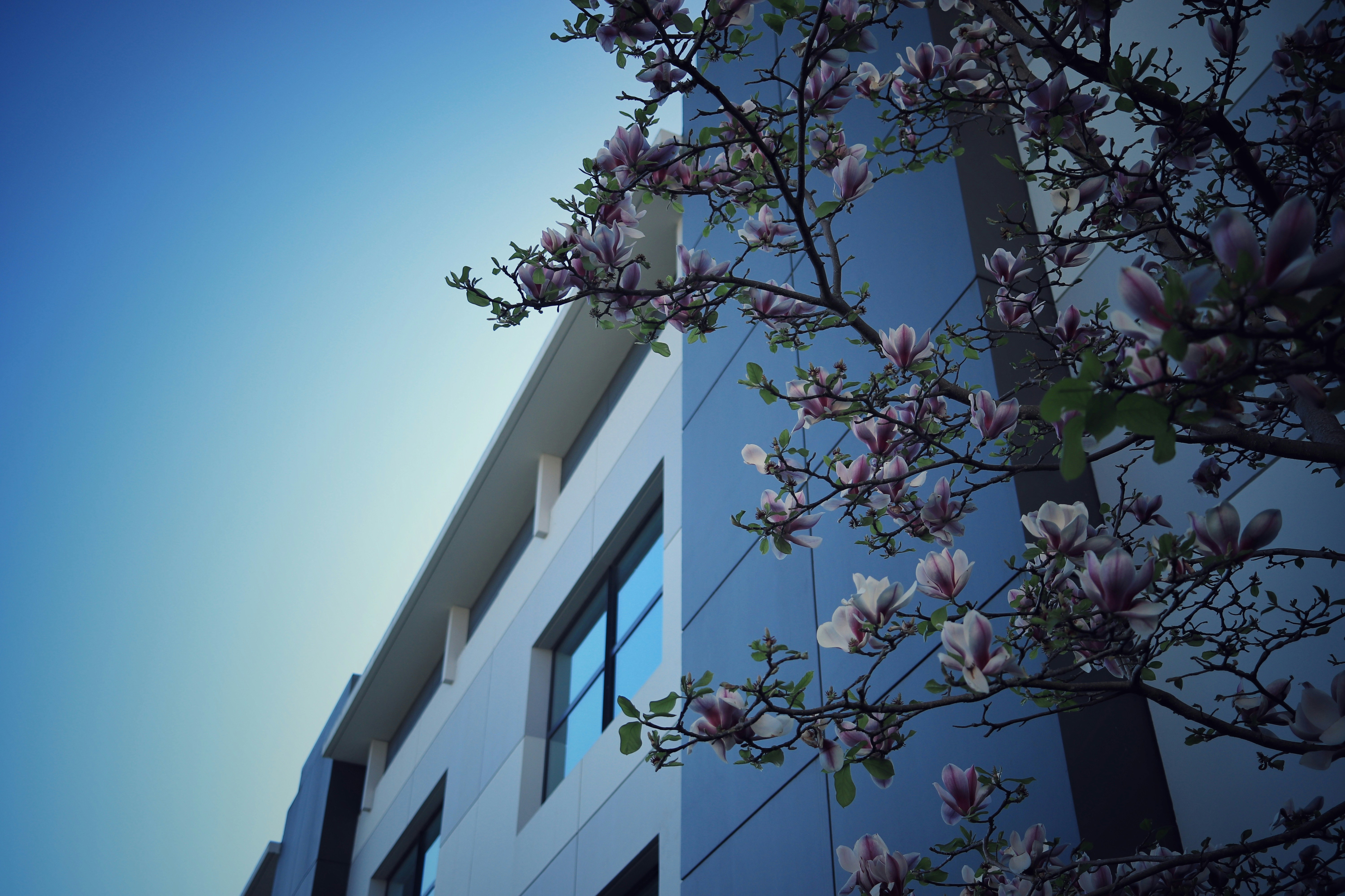 Photo by valiant_lambda