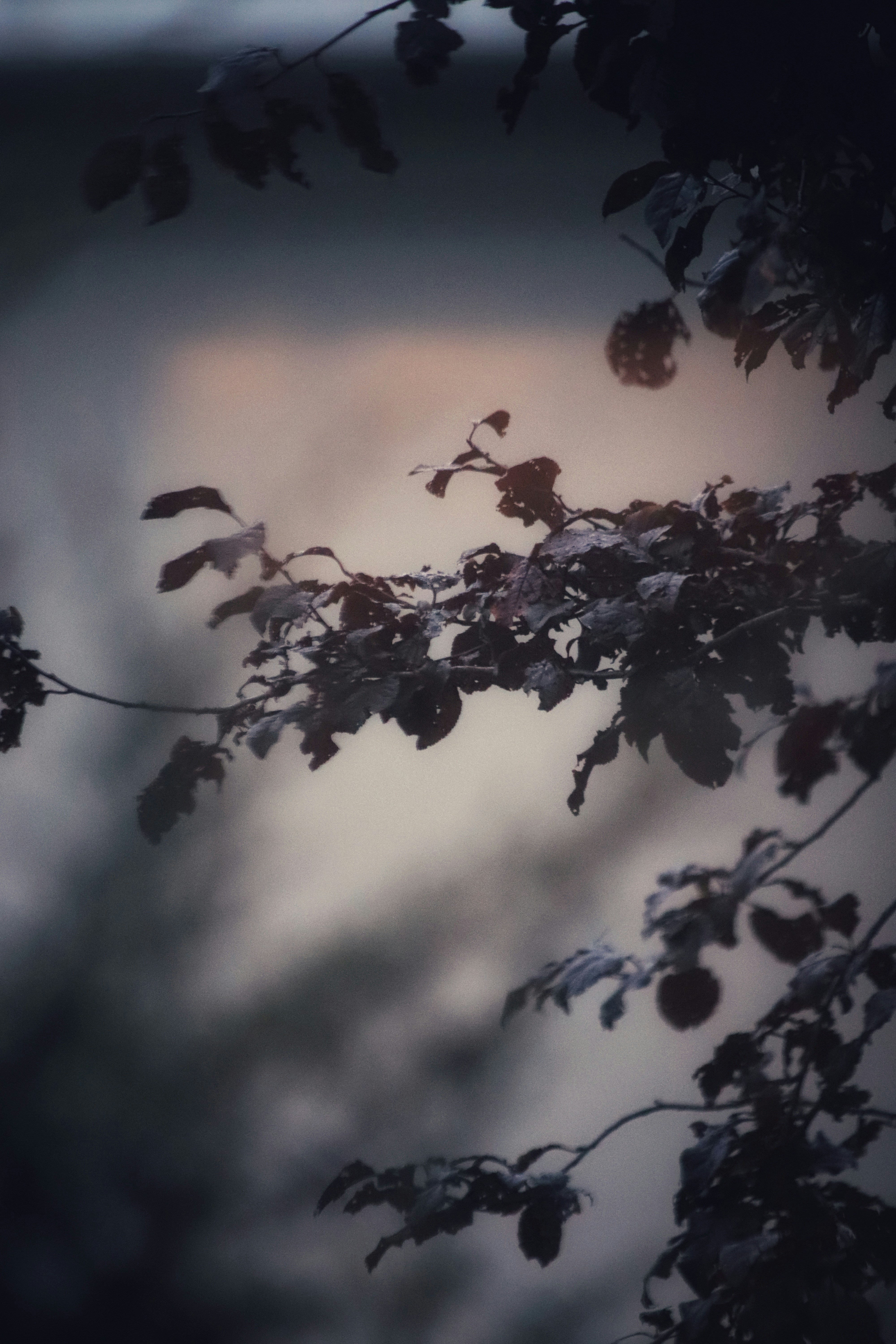 Photo by valiant_lambda