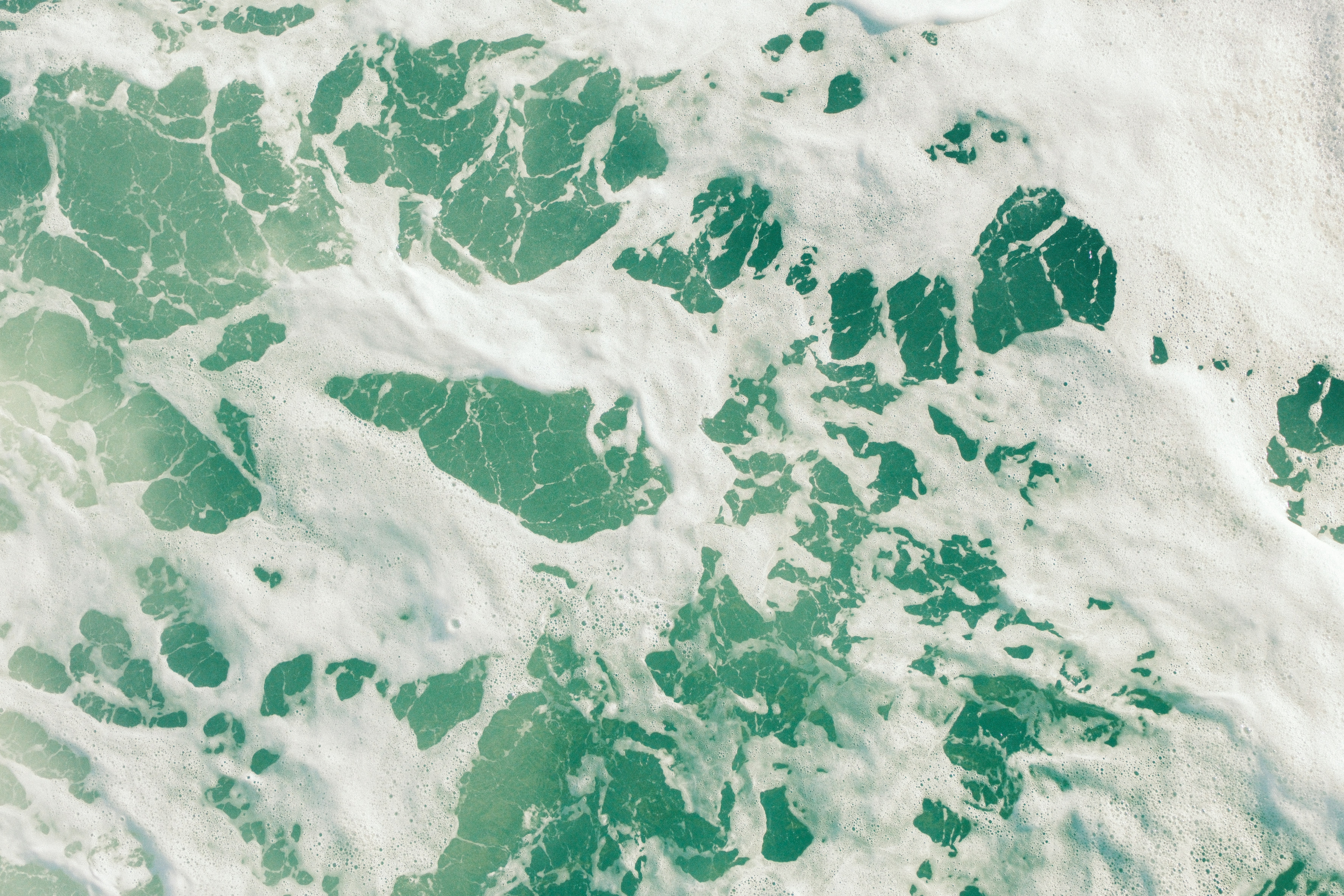 Photo by kalaniparker