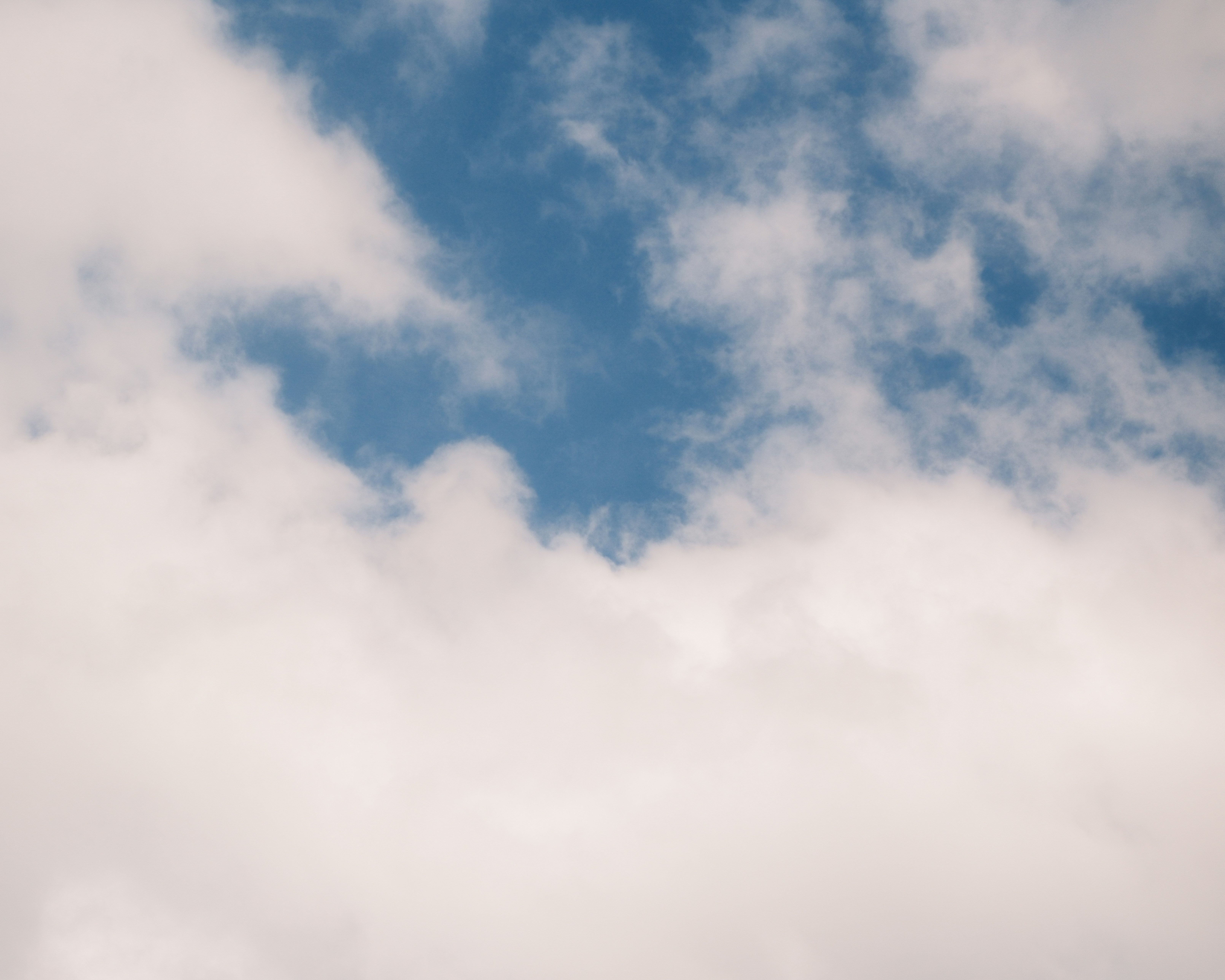 Photo by kalaniparker