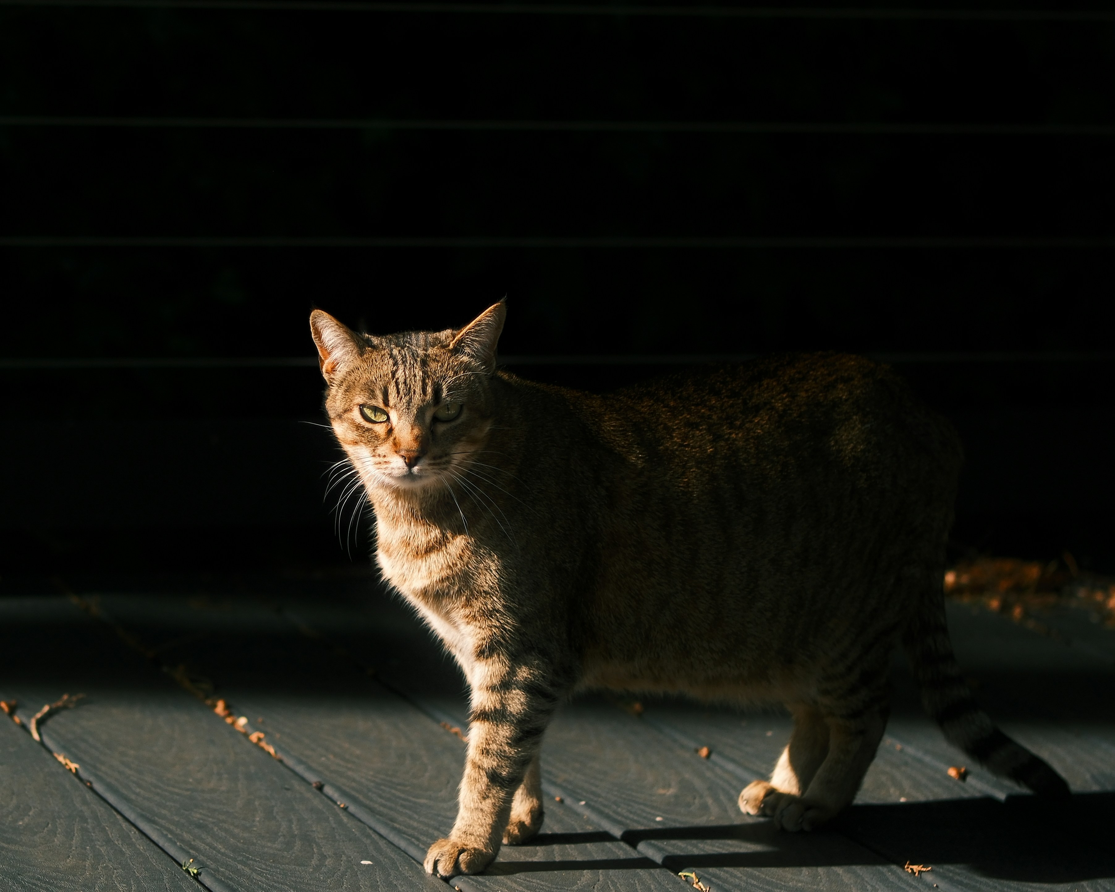 Photo by kalaniparker