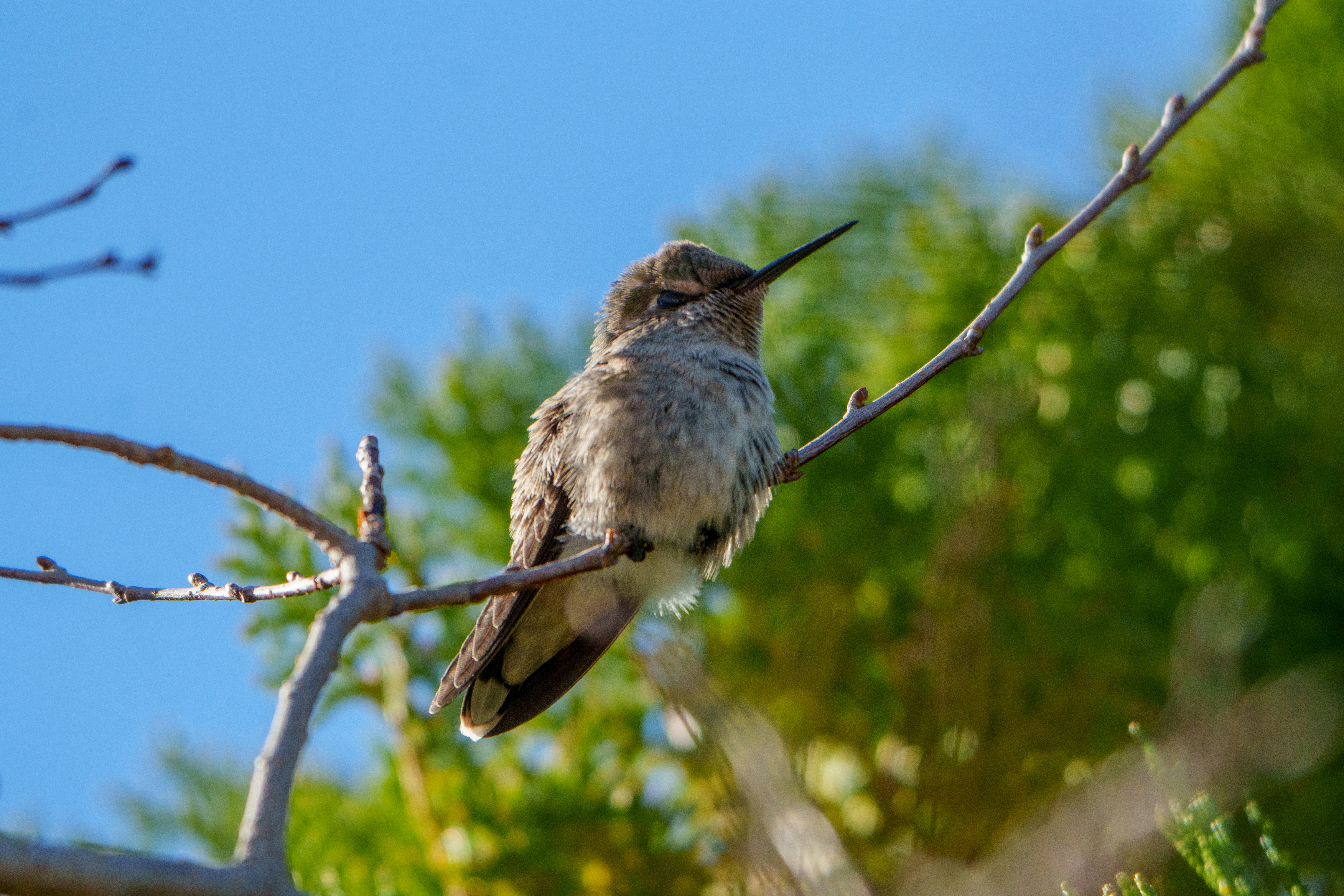 Photo by sizzle_king