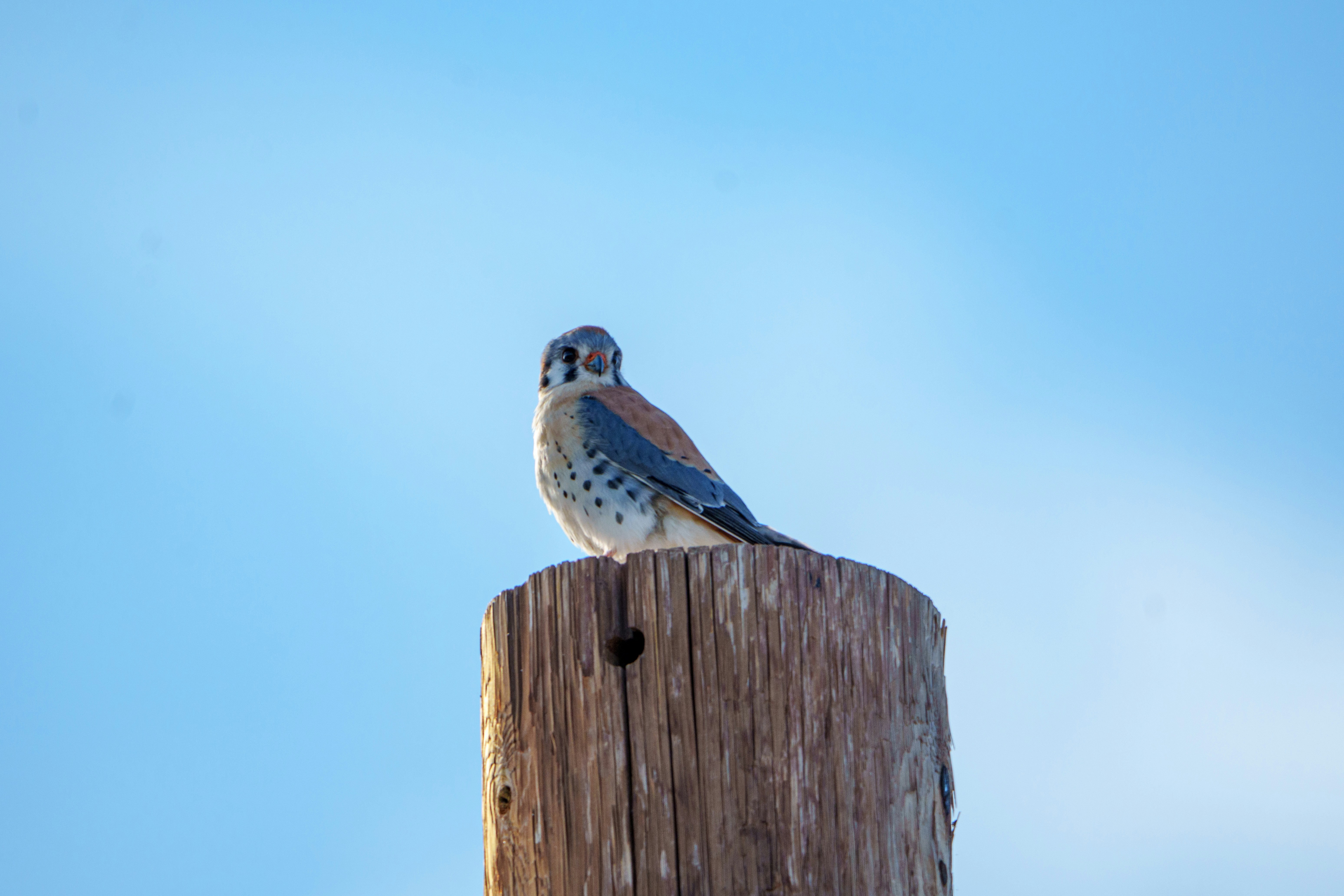 Photo by sizzle_king