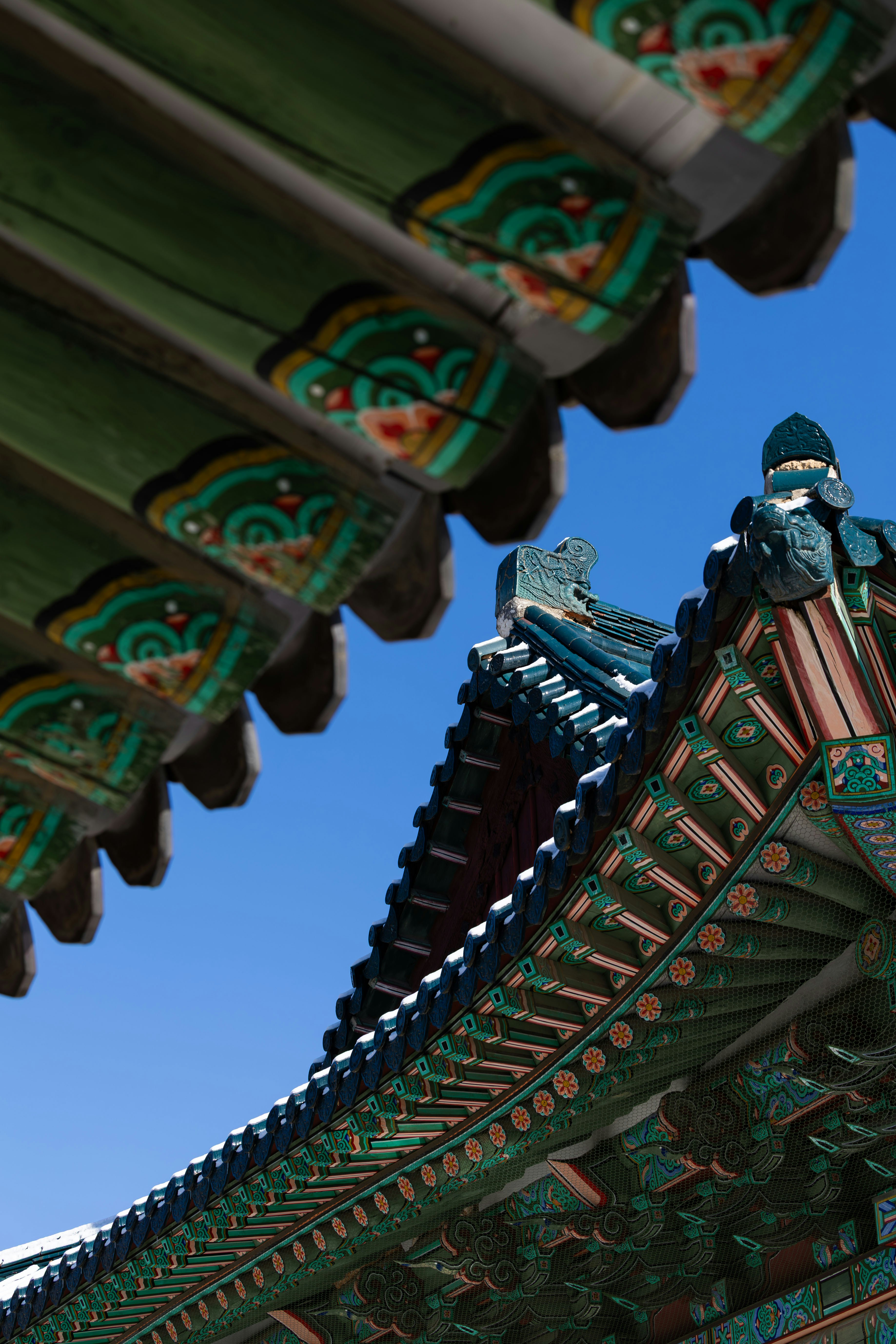 Photo by yangluhan091