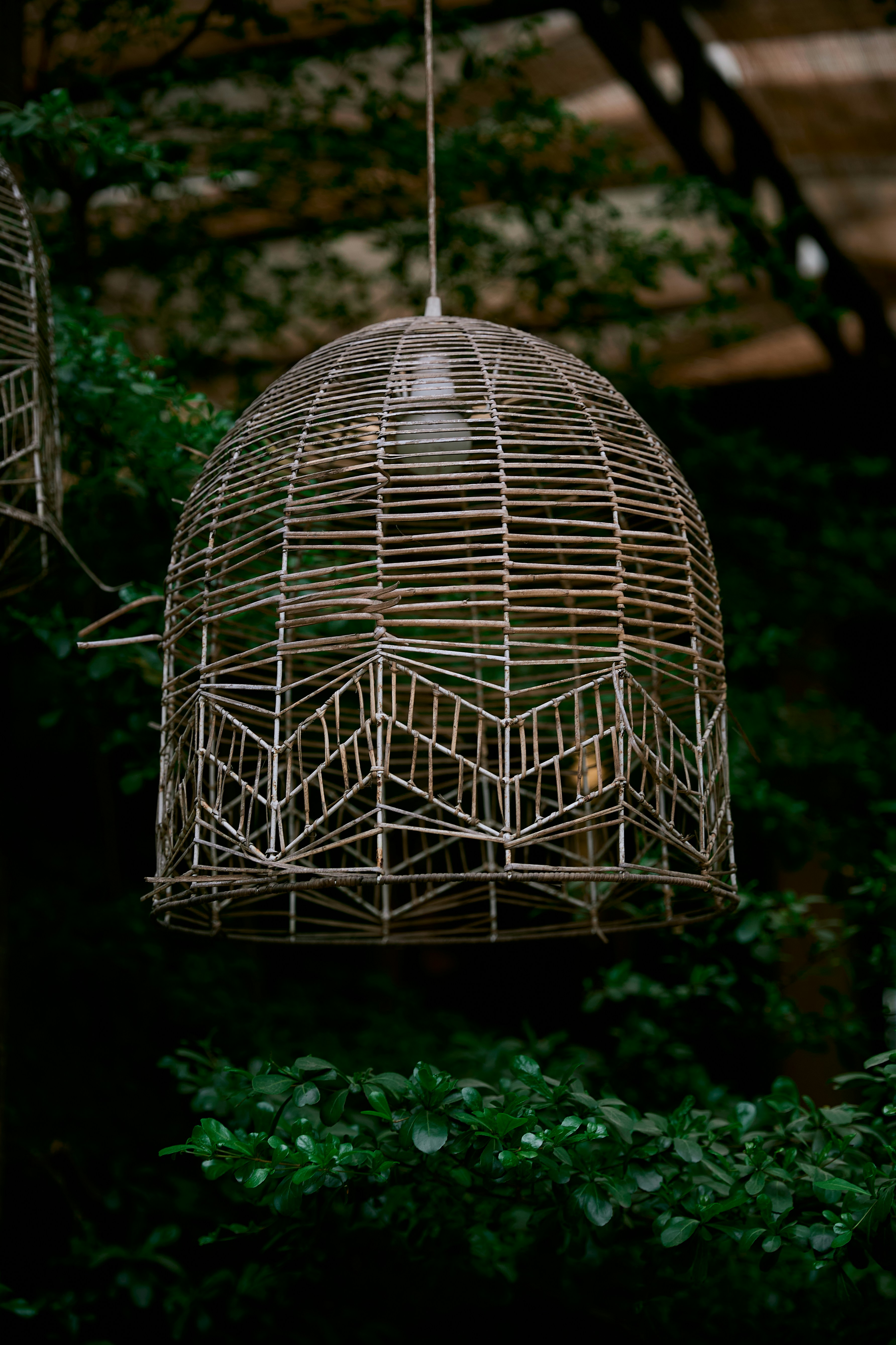 Photo by hieuanhcauam