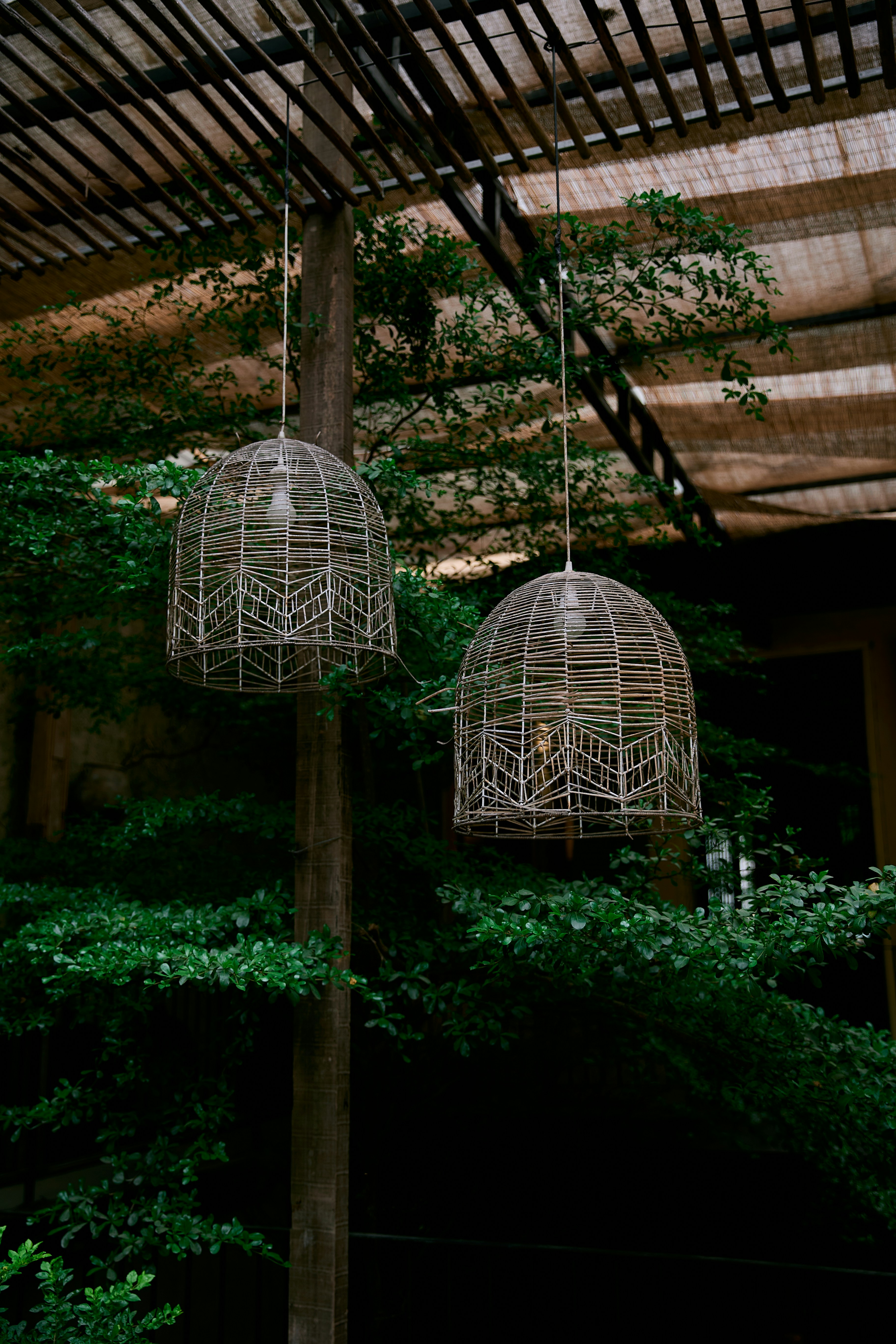 Photo by hieuanhcauam