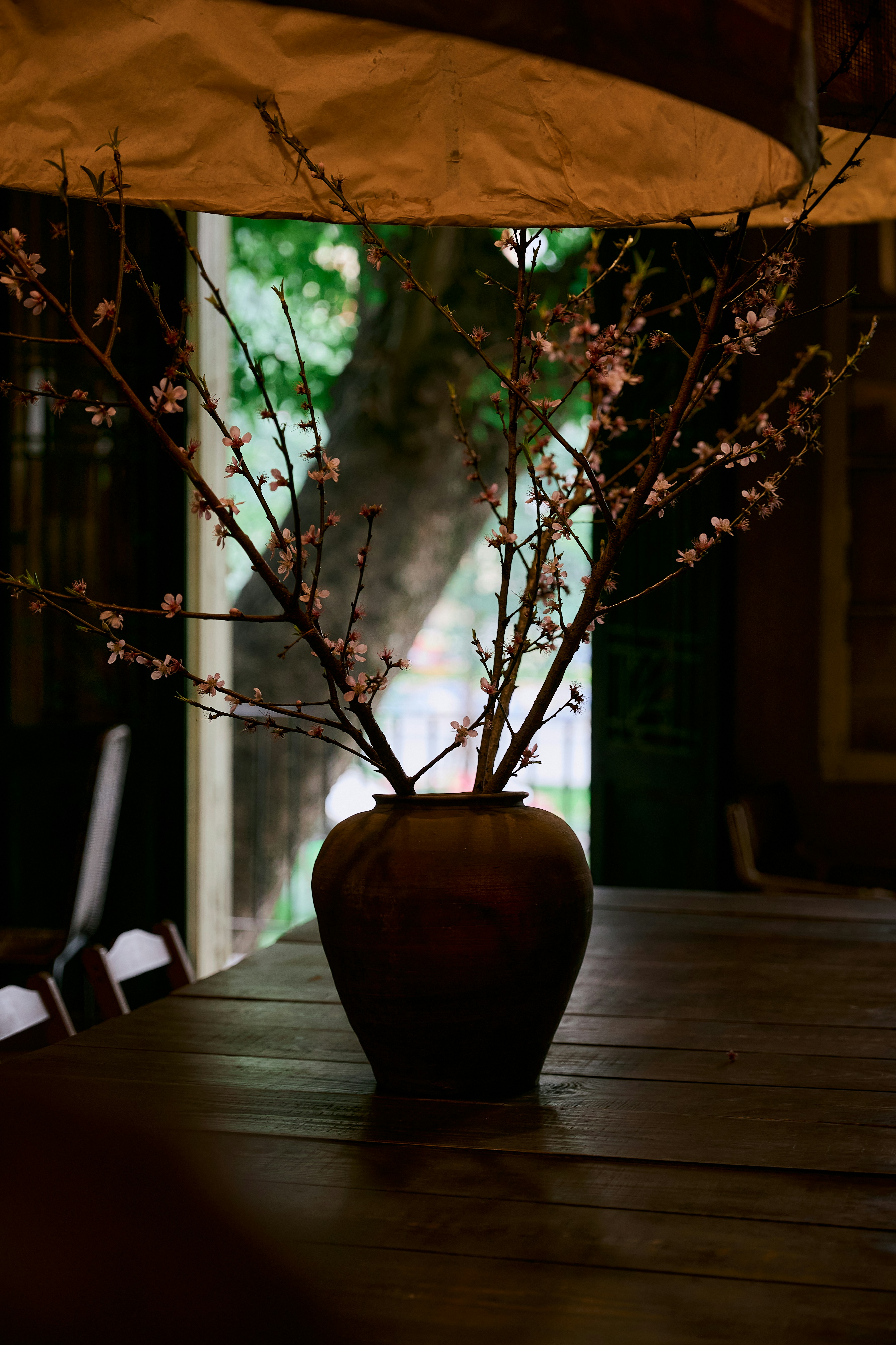 Photo by hieuanhcauam