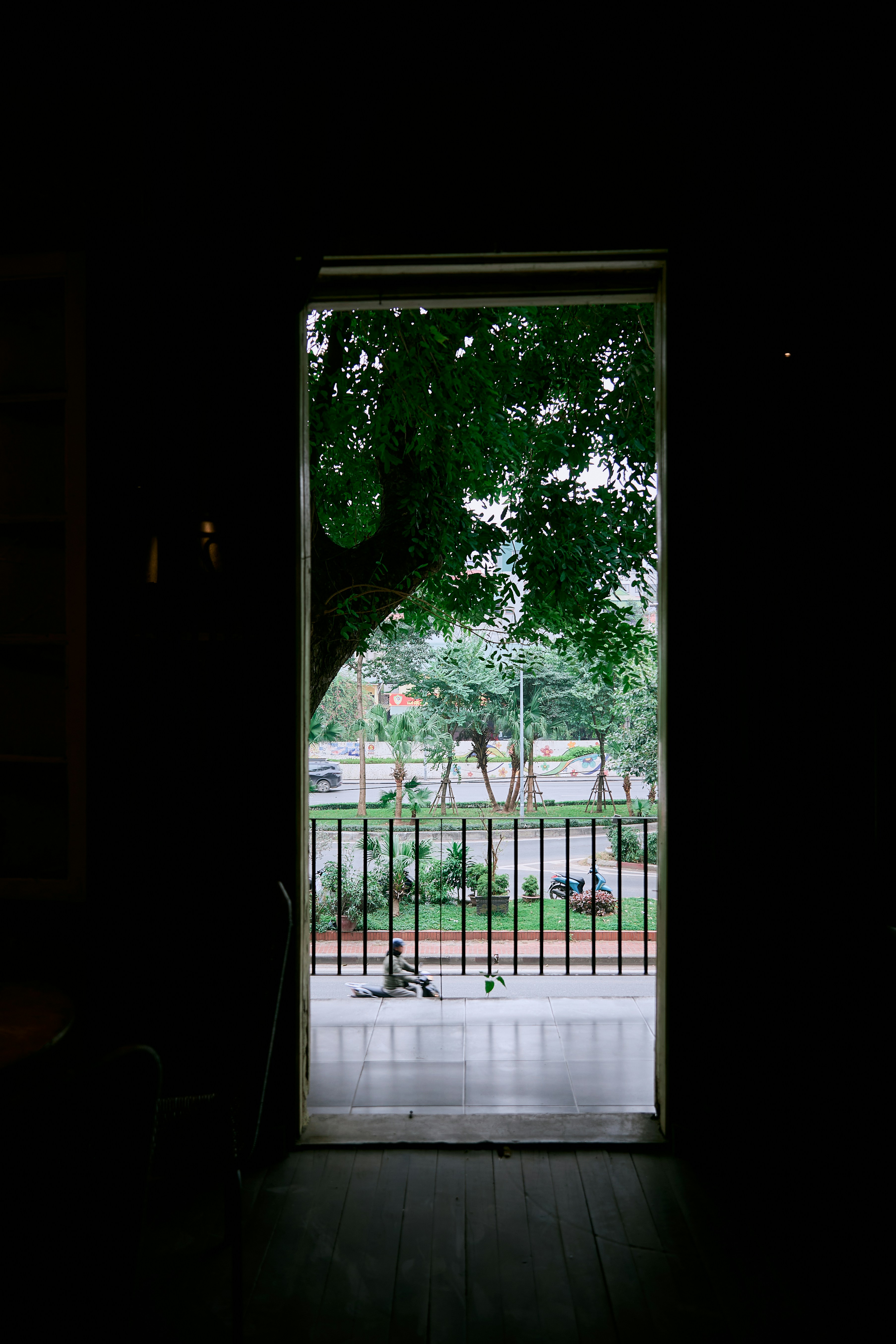 Photo by hieuanhcauam