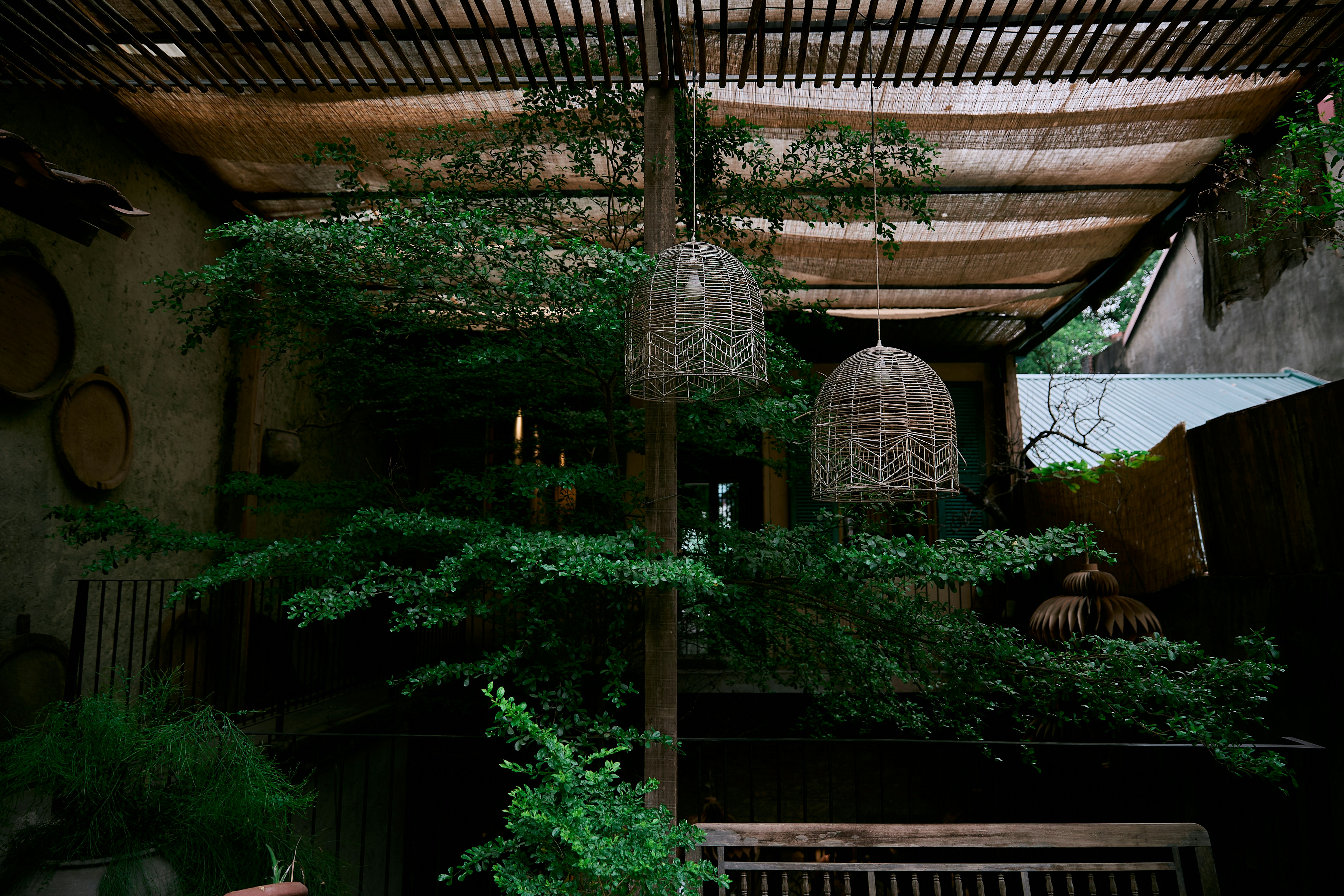 Photo by hieuanhcauam