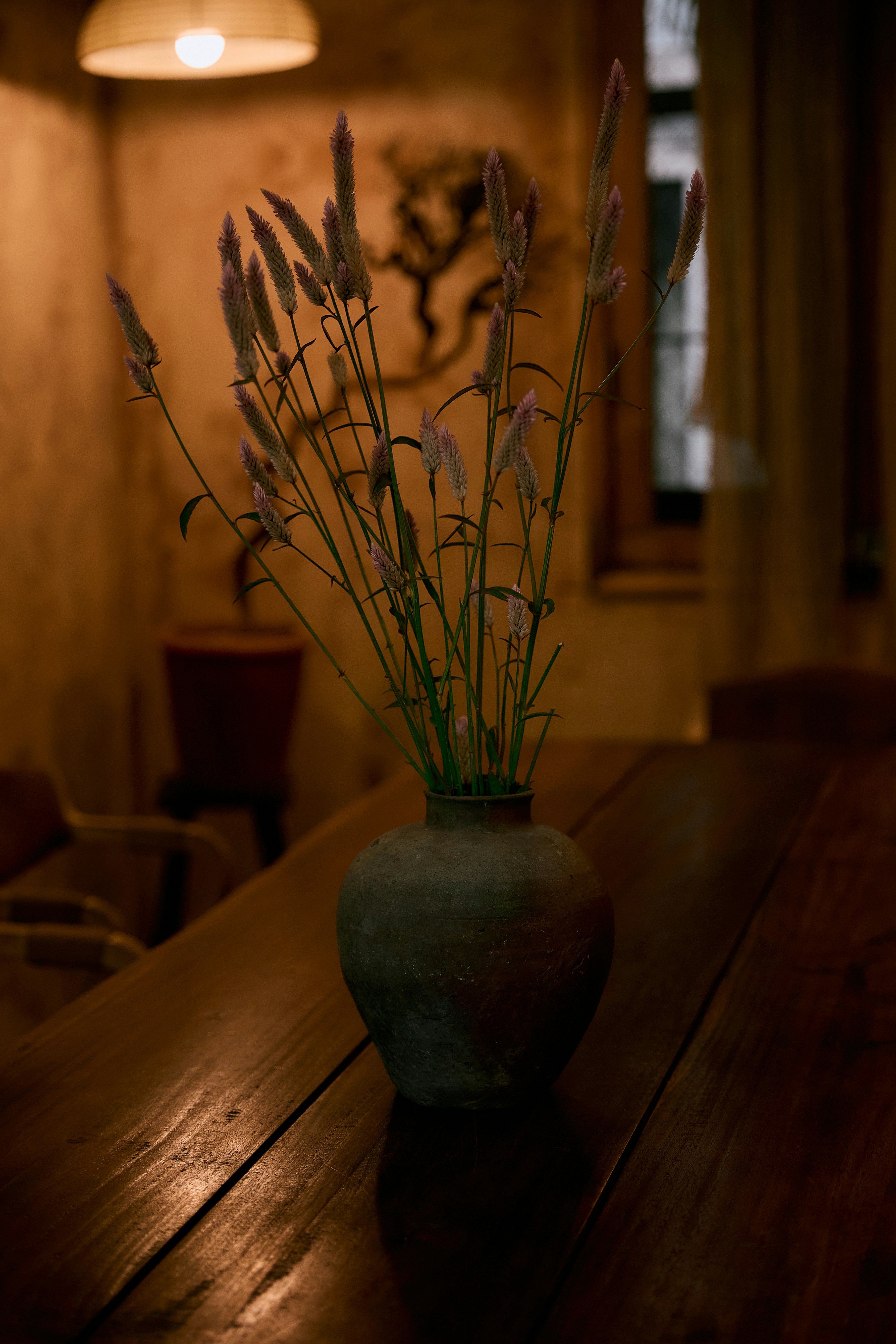 Photo by hieuanhcauam