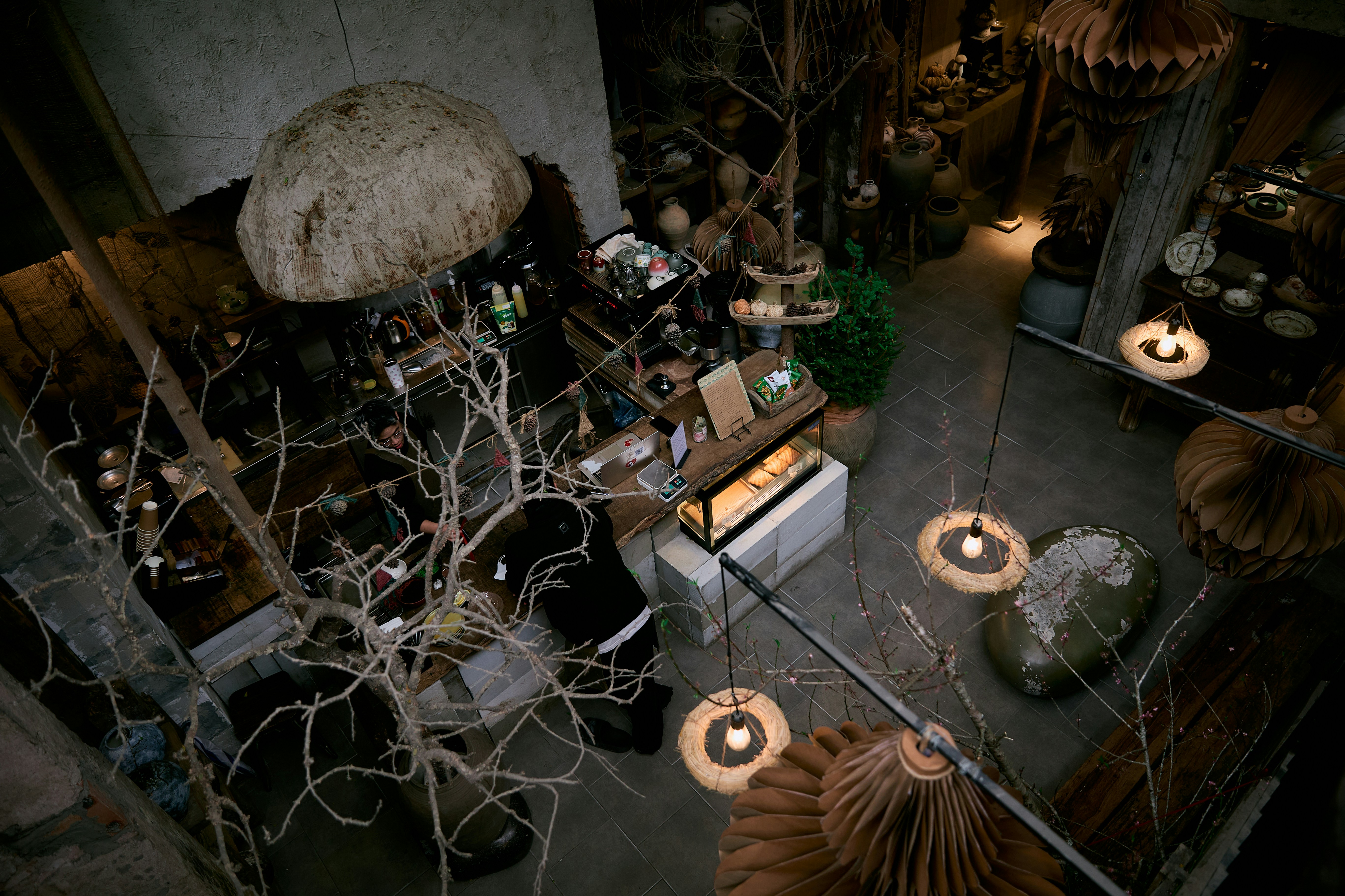 Photo by hieuanhcauam