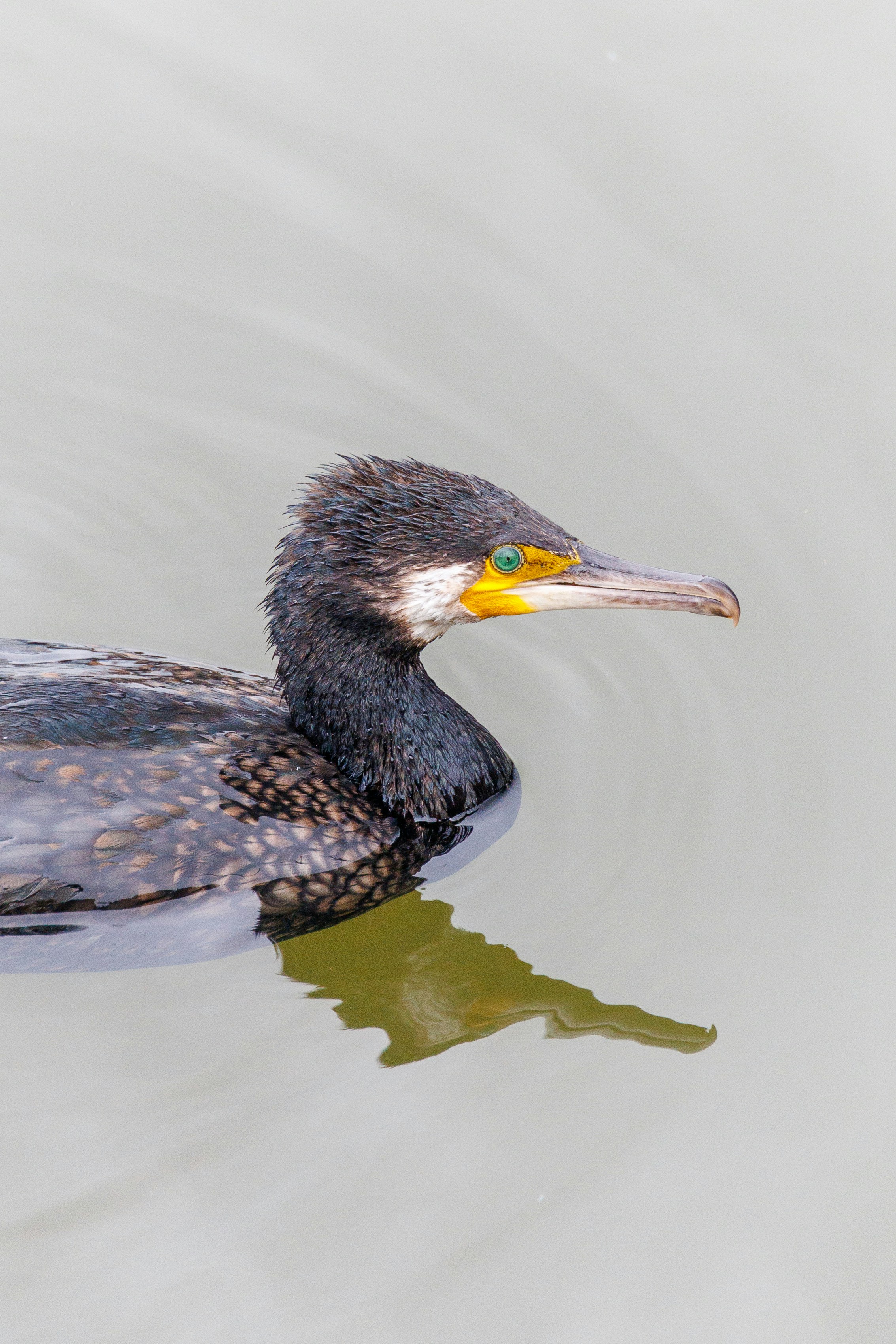 Photo by stockbirken